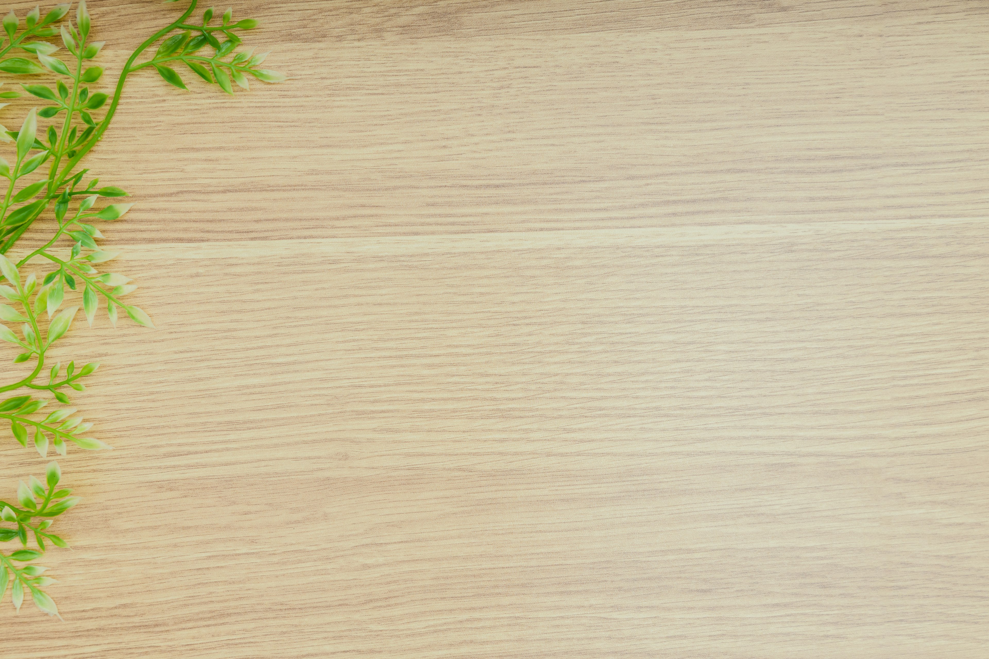 Simple scene featuring green leaves on a wooden table