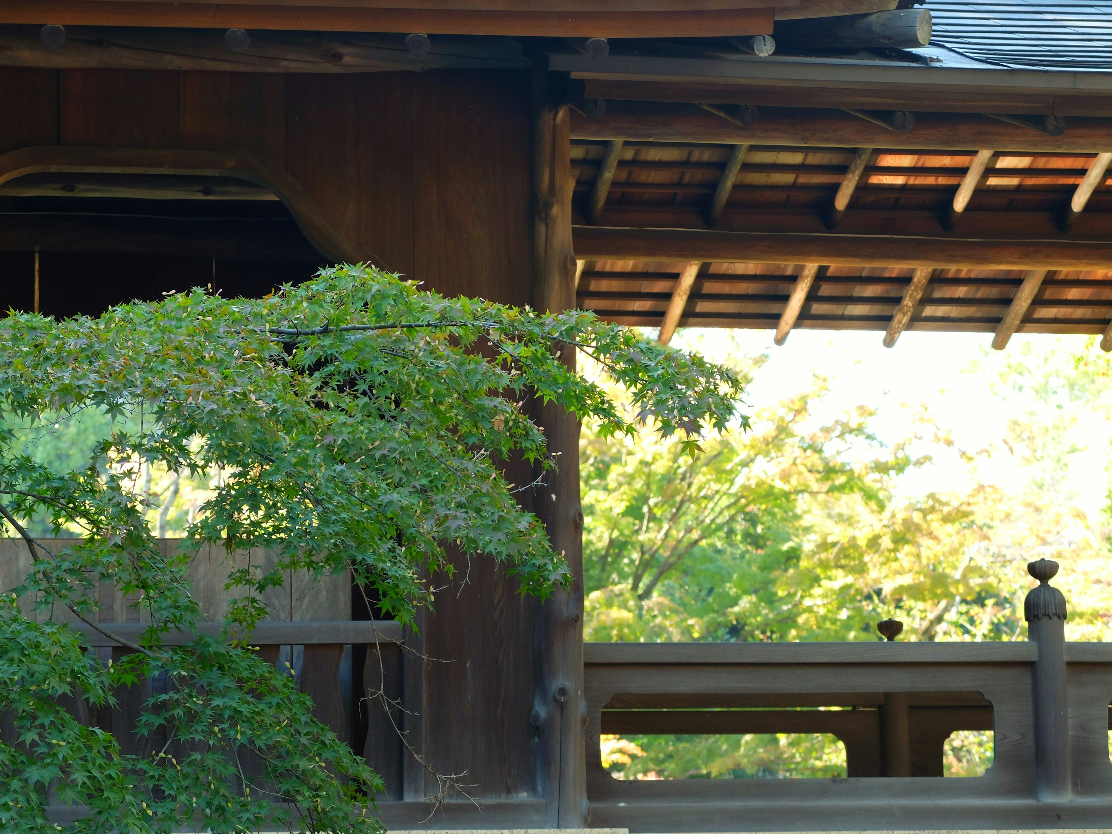 木造の建物と緑の葉が特徴的な風景