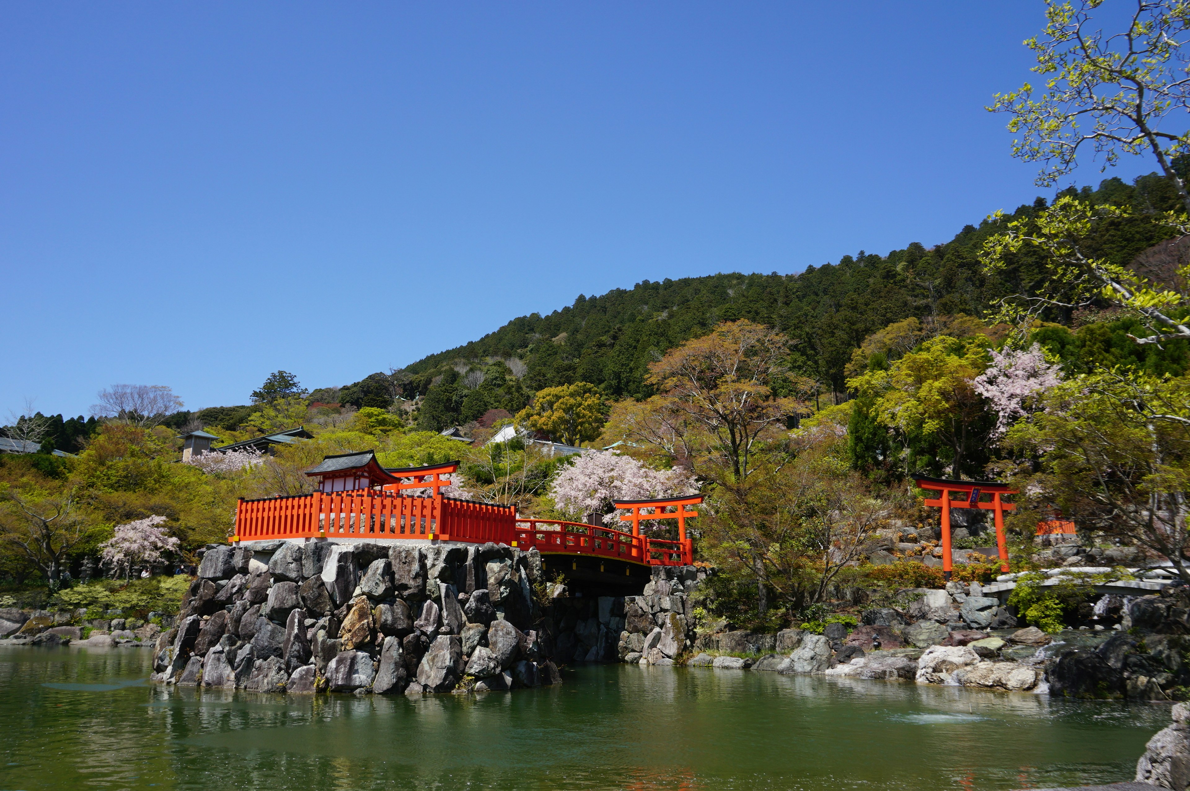 ทัศนียภาพสวนญี่ปุ่นที่มีสะพานสีแดงและบ่อน้ำใต้ท้องฟ้าสีฟ้า