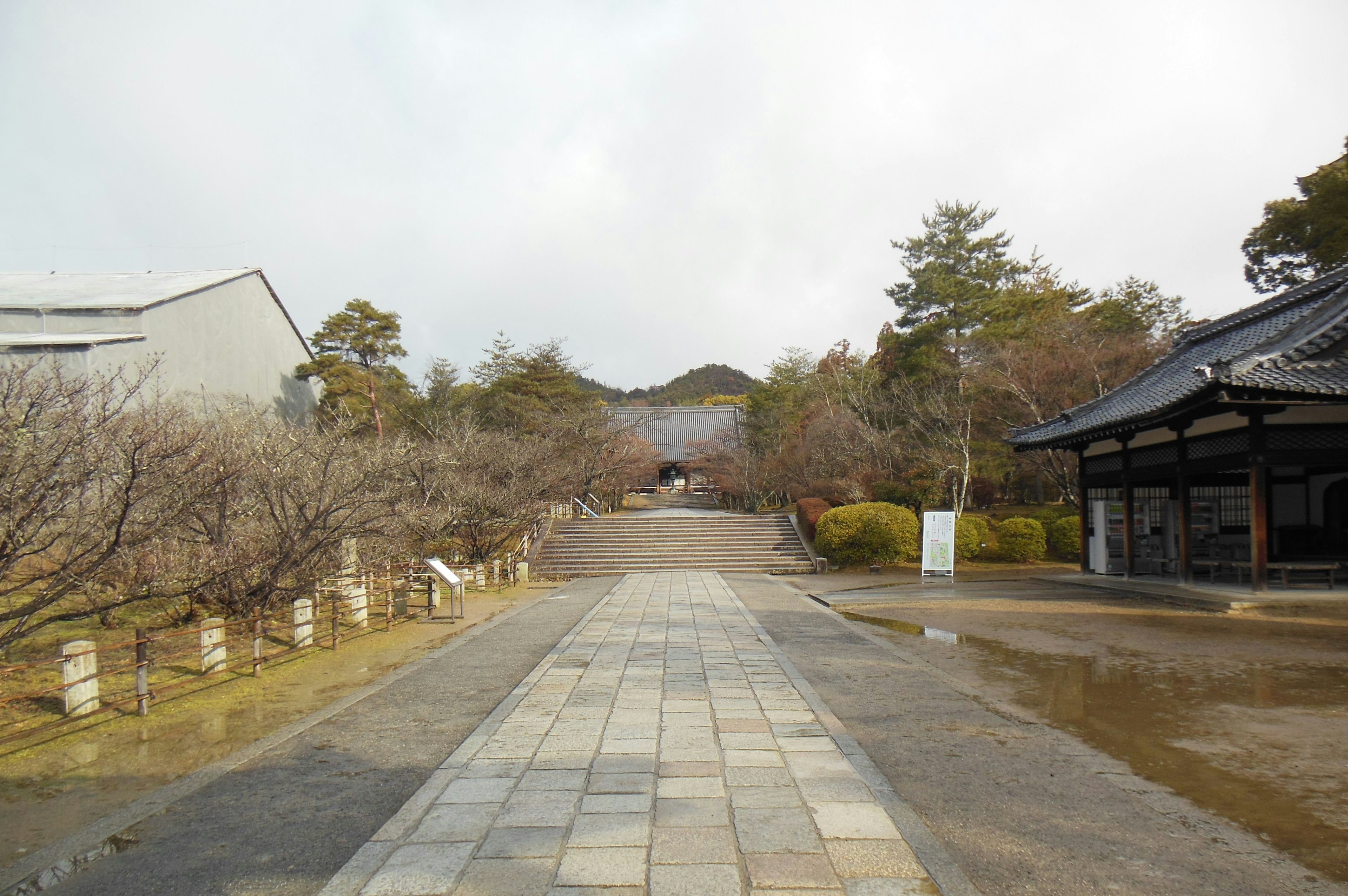 静かな寺院の入り口に続く石の道と周囲の木々