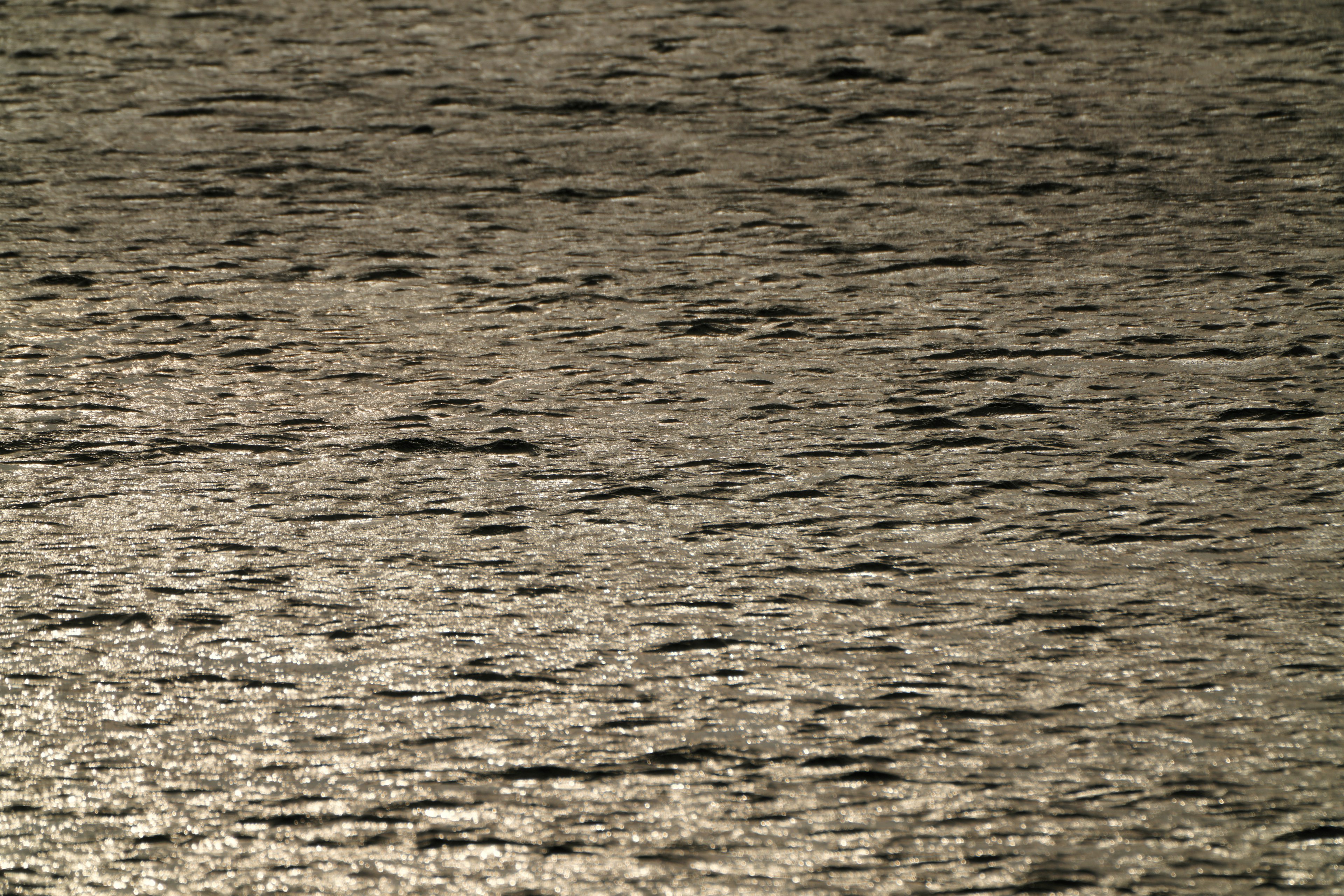 Waves on the ocean surface reflecting light