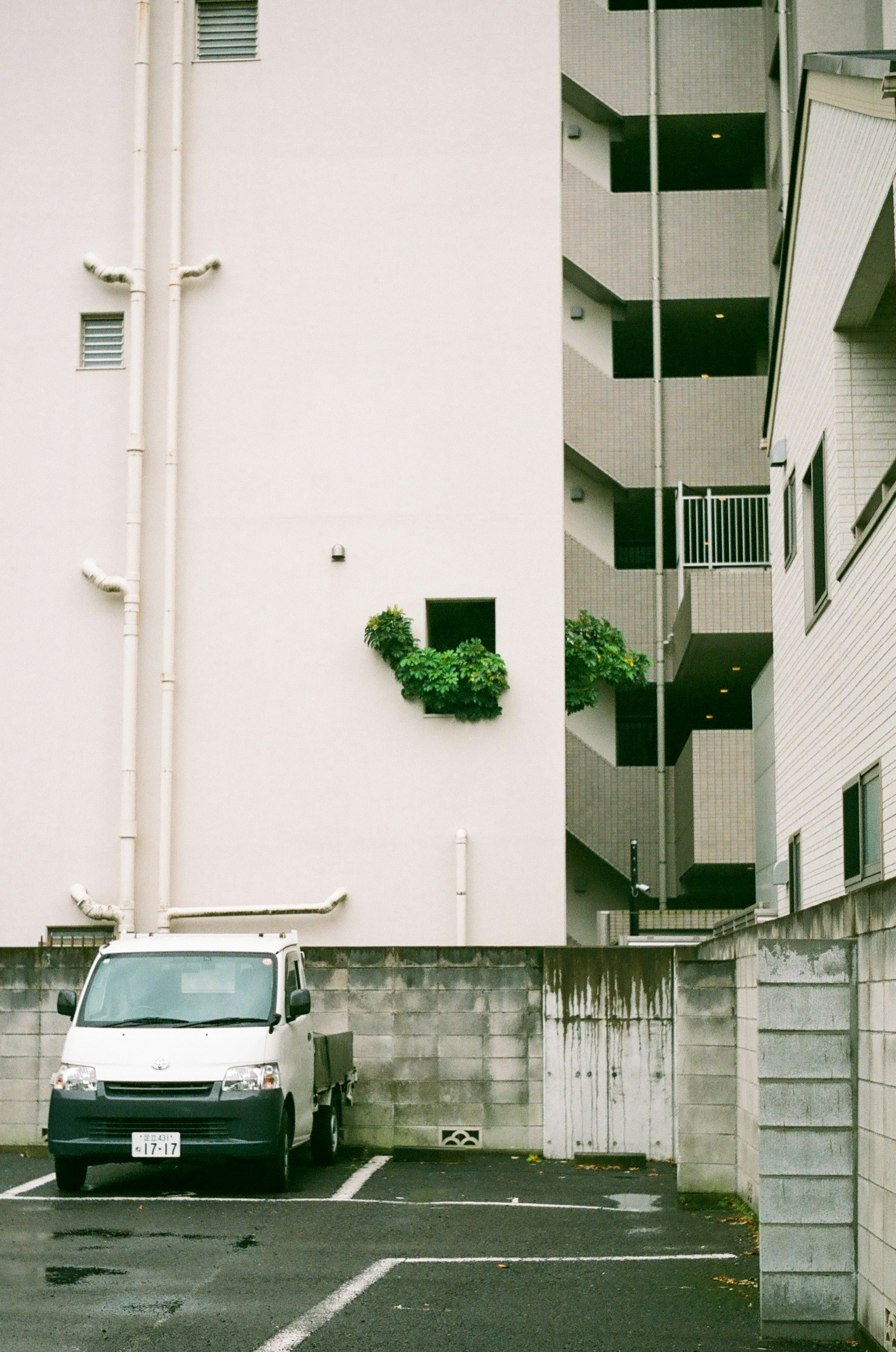 白い建物の壁に緑の植物が生えている様子と駐車場に停まっている白い車