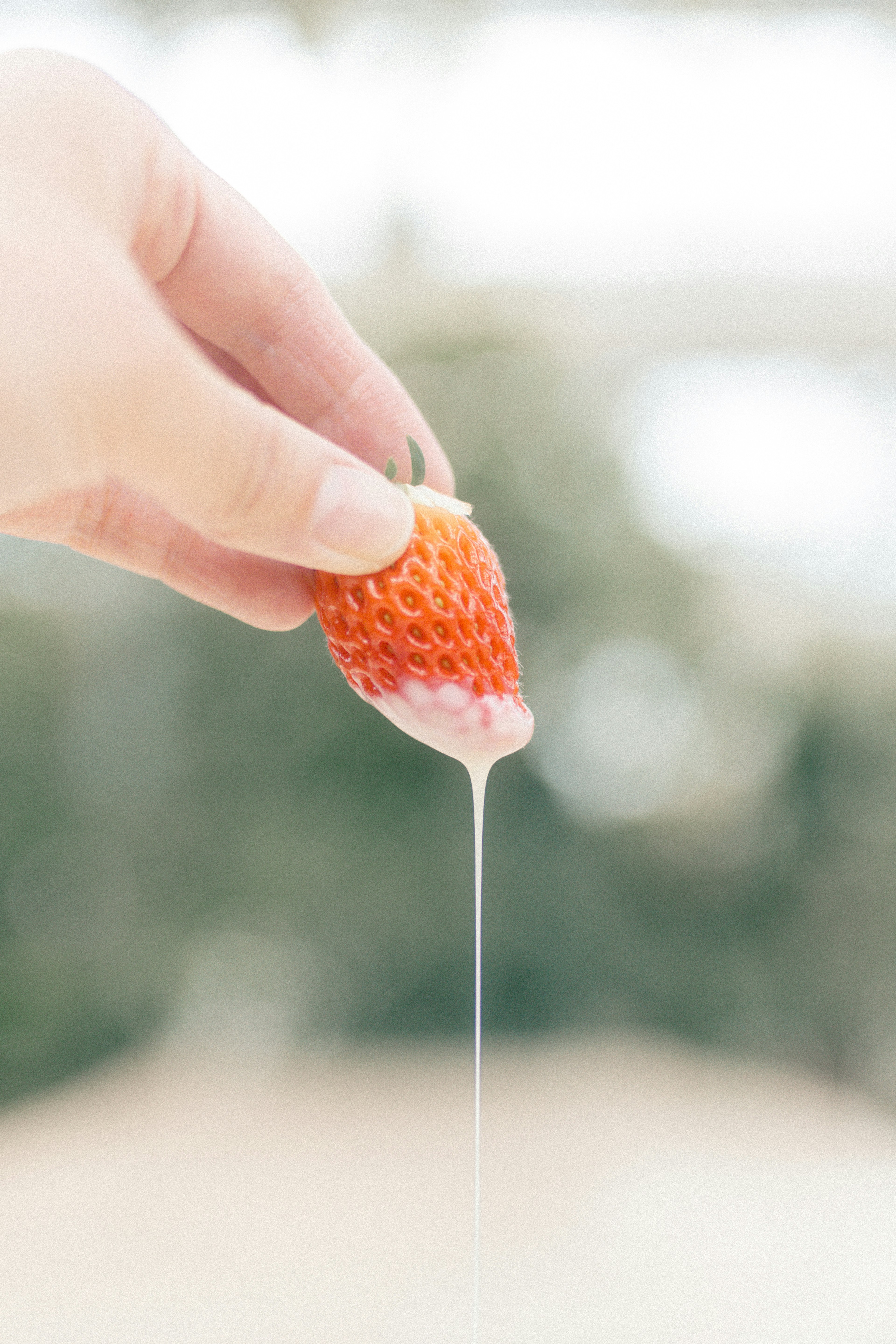 A hand holding a dripping strawberry with liquid oozing out