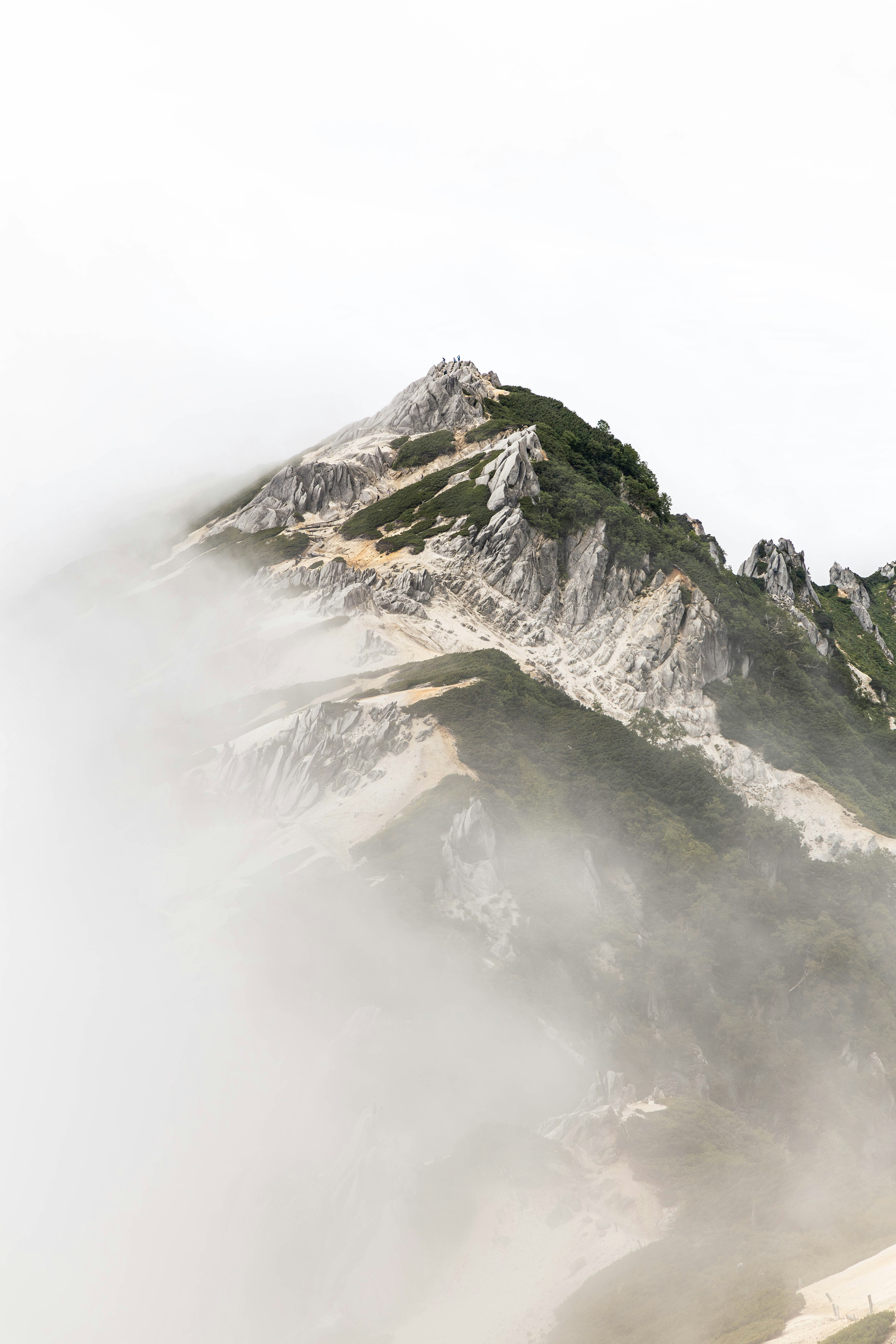 Berglandschaft teilweise in Nebel gehüllt mit grüner Vegetation