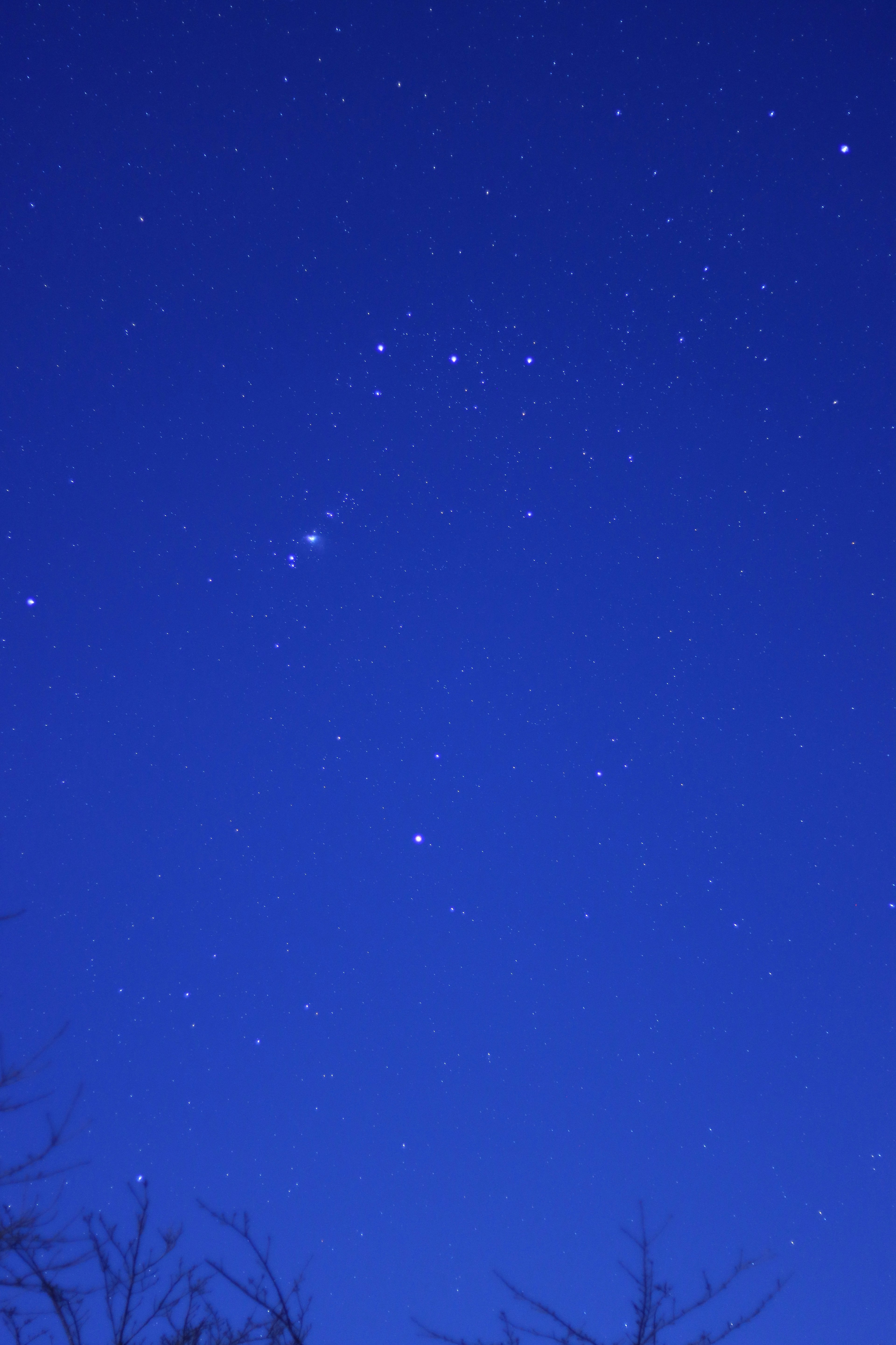 Una hermosa escena de estrellas centelleantes en un cielo nocturno azul