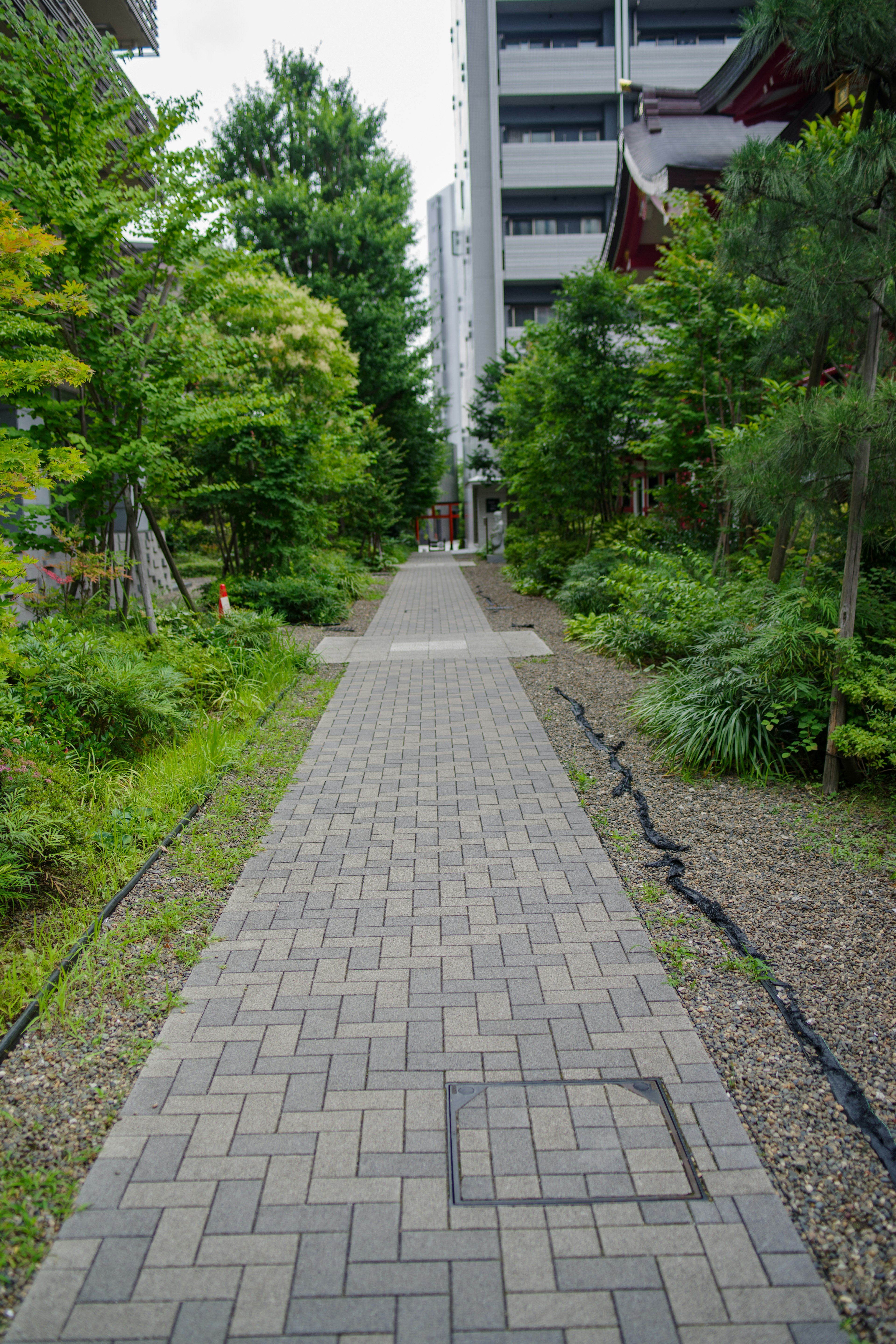 Une allée bien pavée entourée de verdure luxuriante