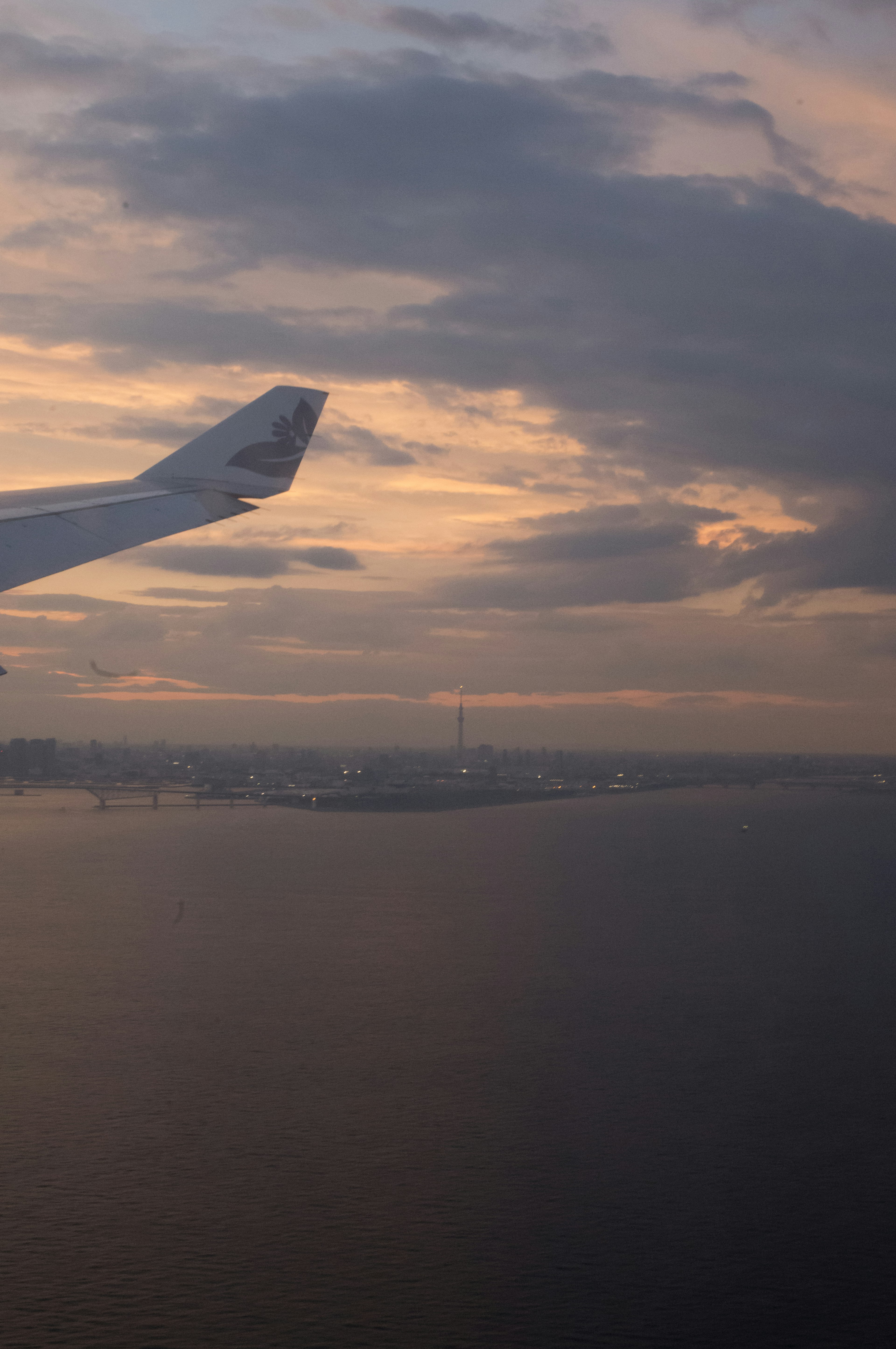 飛行機の翼と夕焼けの空が広がる景色　海の上に都市の光が見える