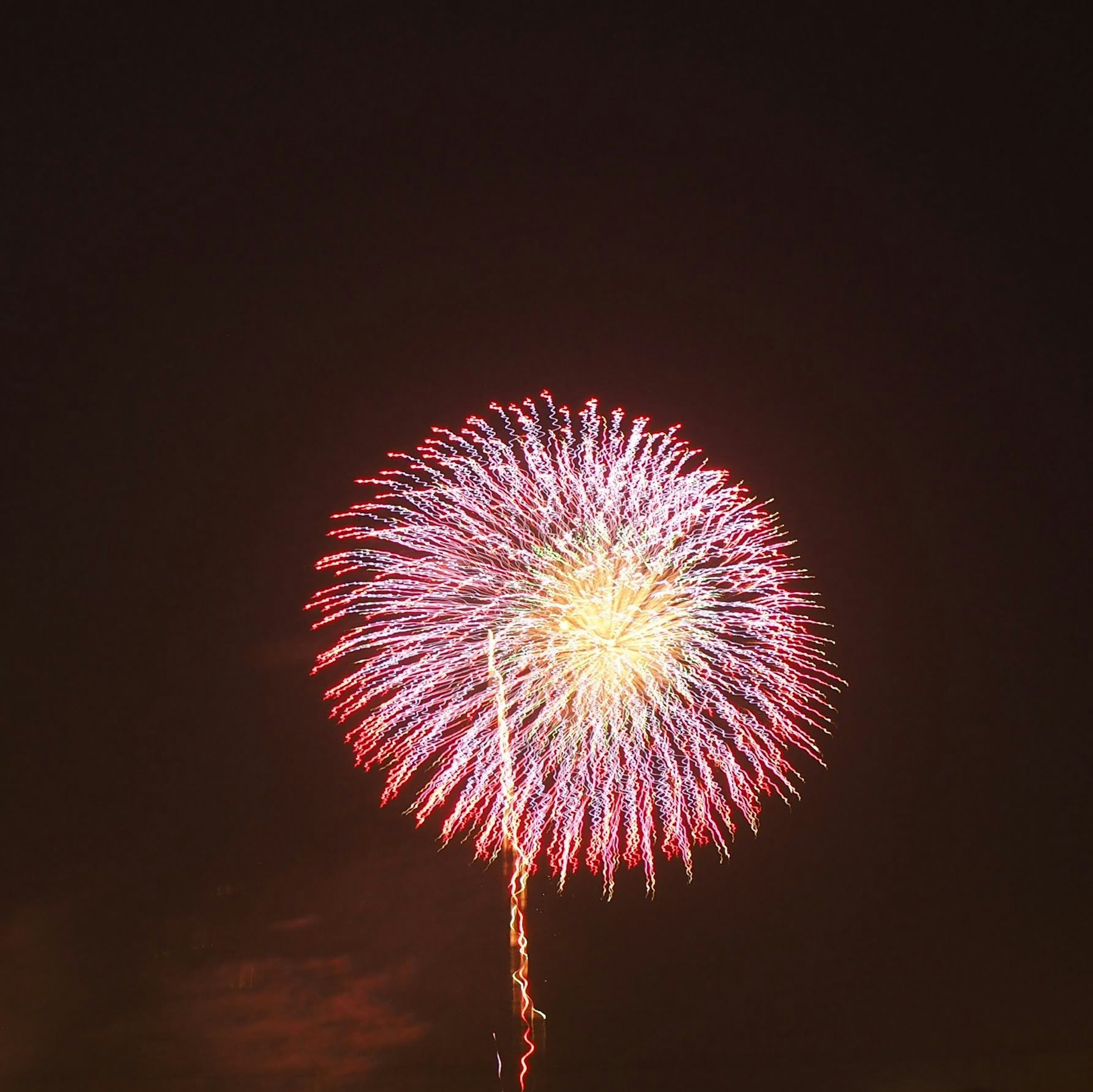 夜空中綻放的五彩煙花