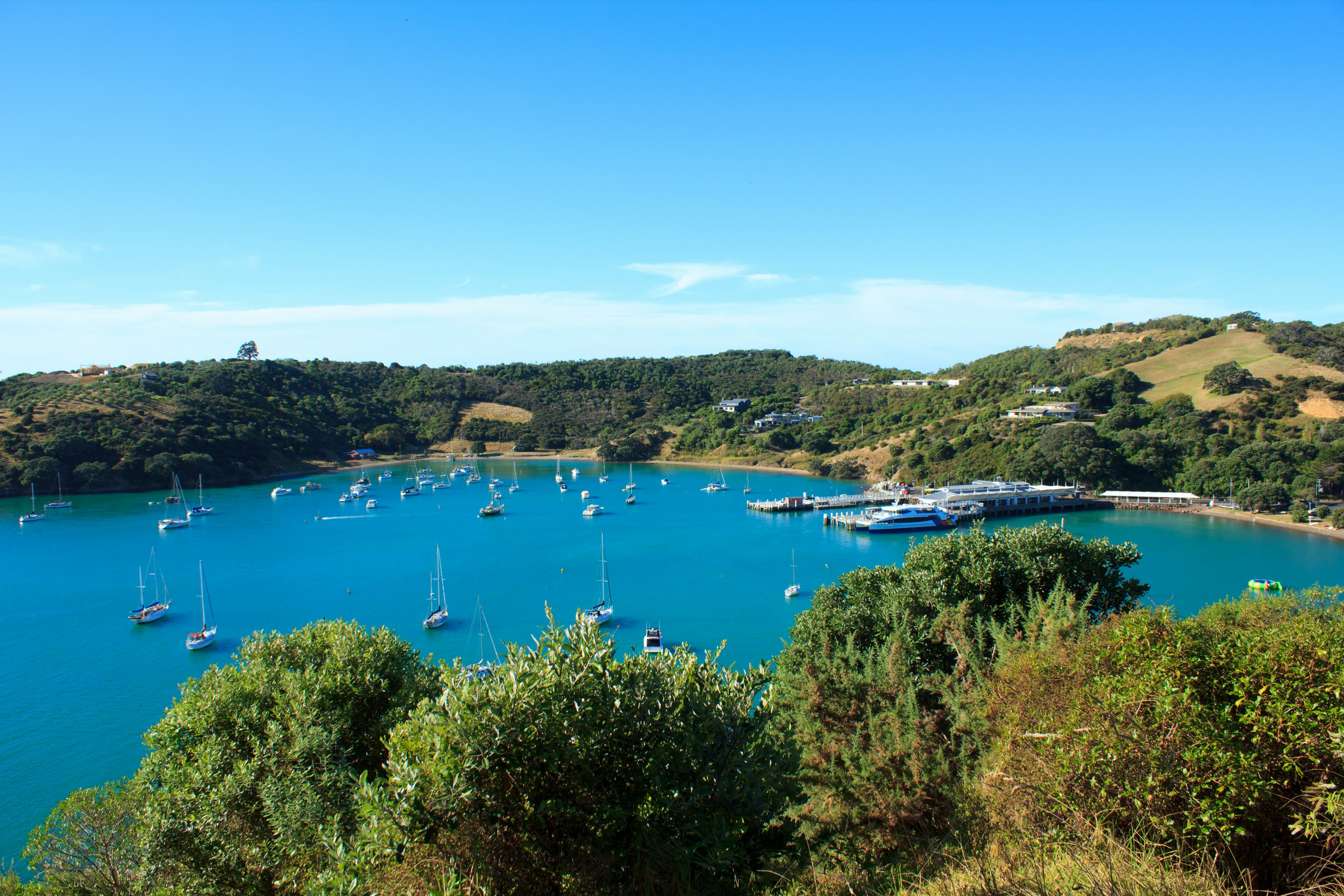 Scenic bay with numerous sailboats and blue waters