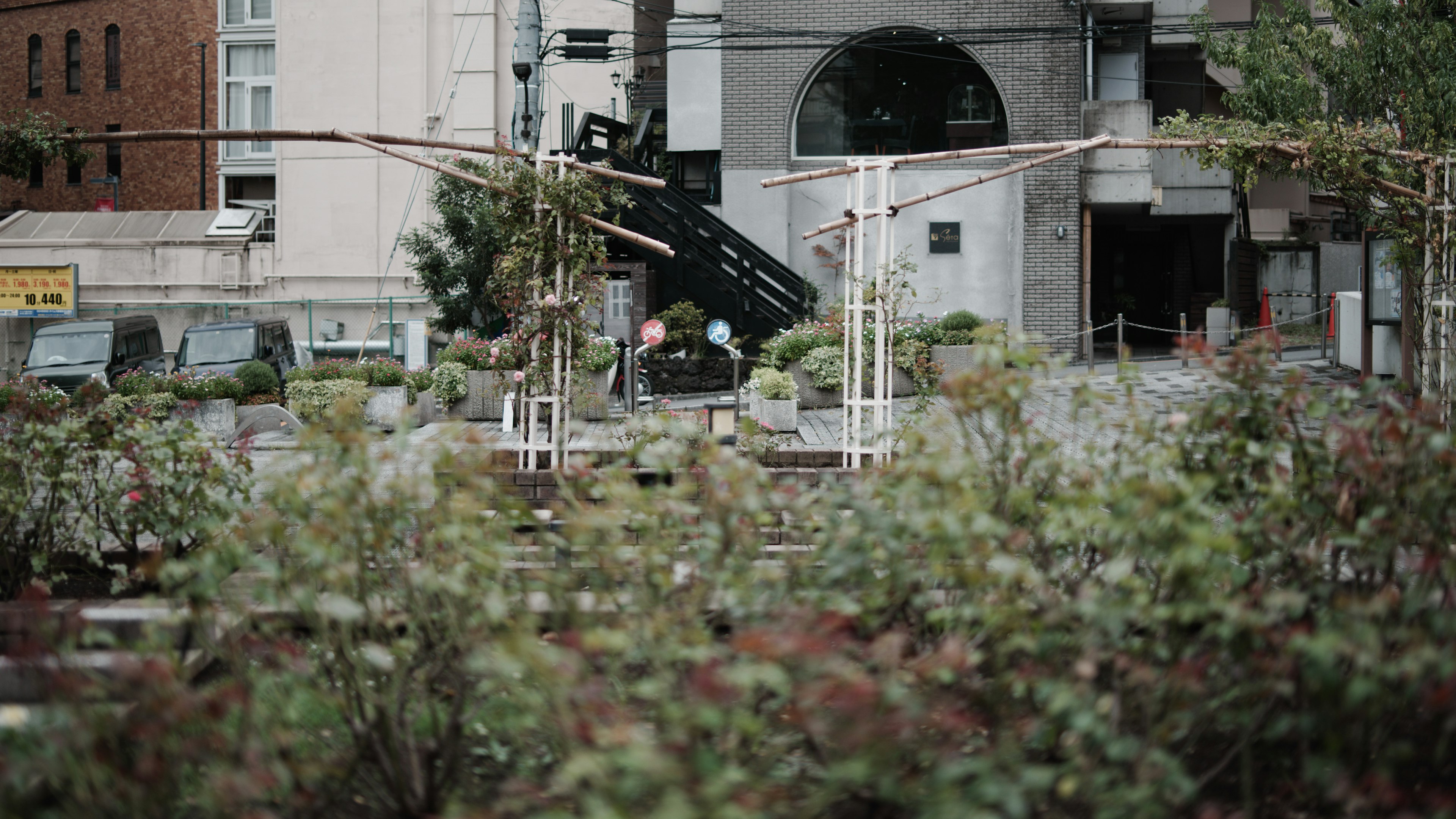 A view of a building peeking through lush green plants