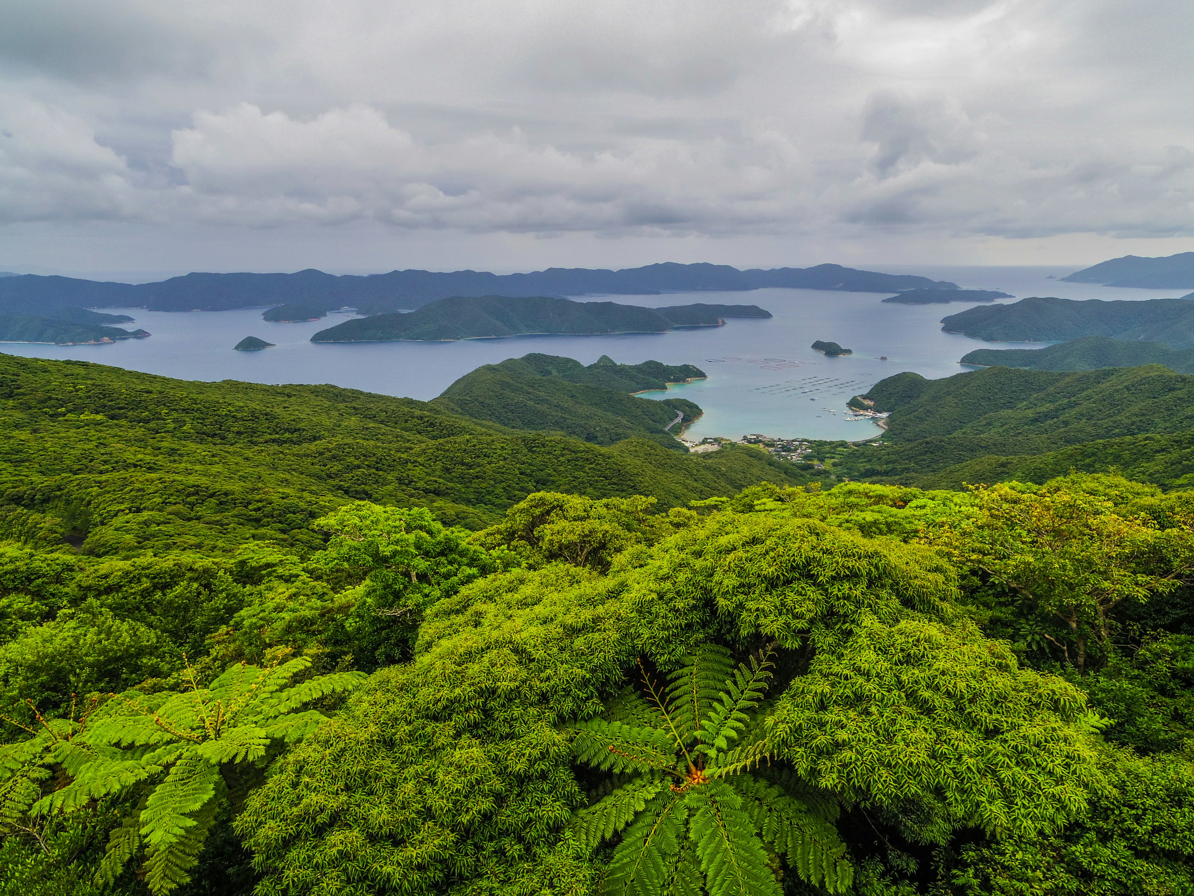 緑豊かな山々と海が広がる美しい風景