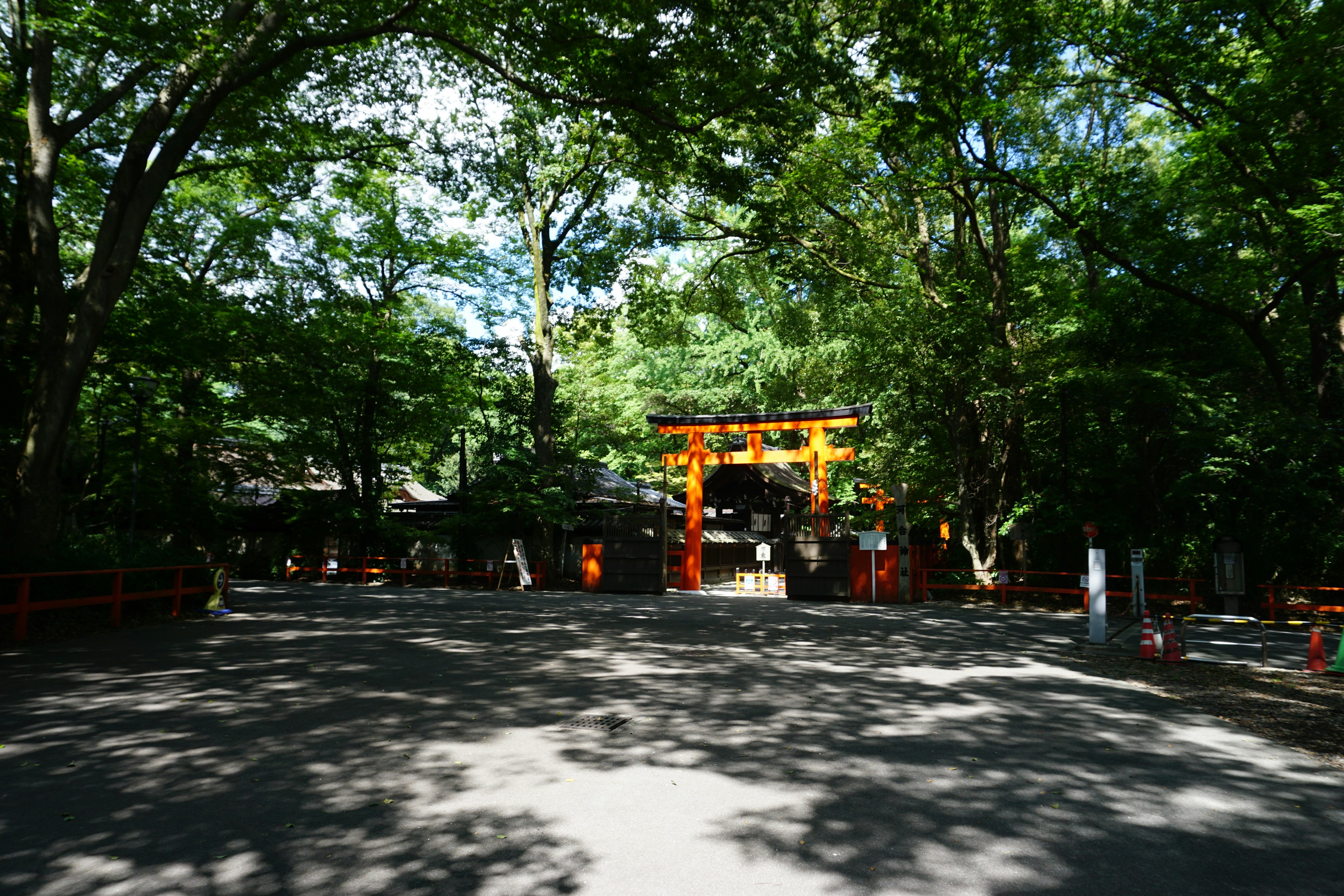 明亮的神社门前景，周围环绕着郁郁葱葱的绿色树木