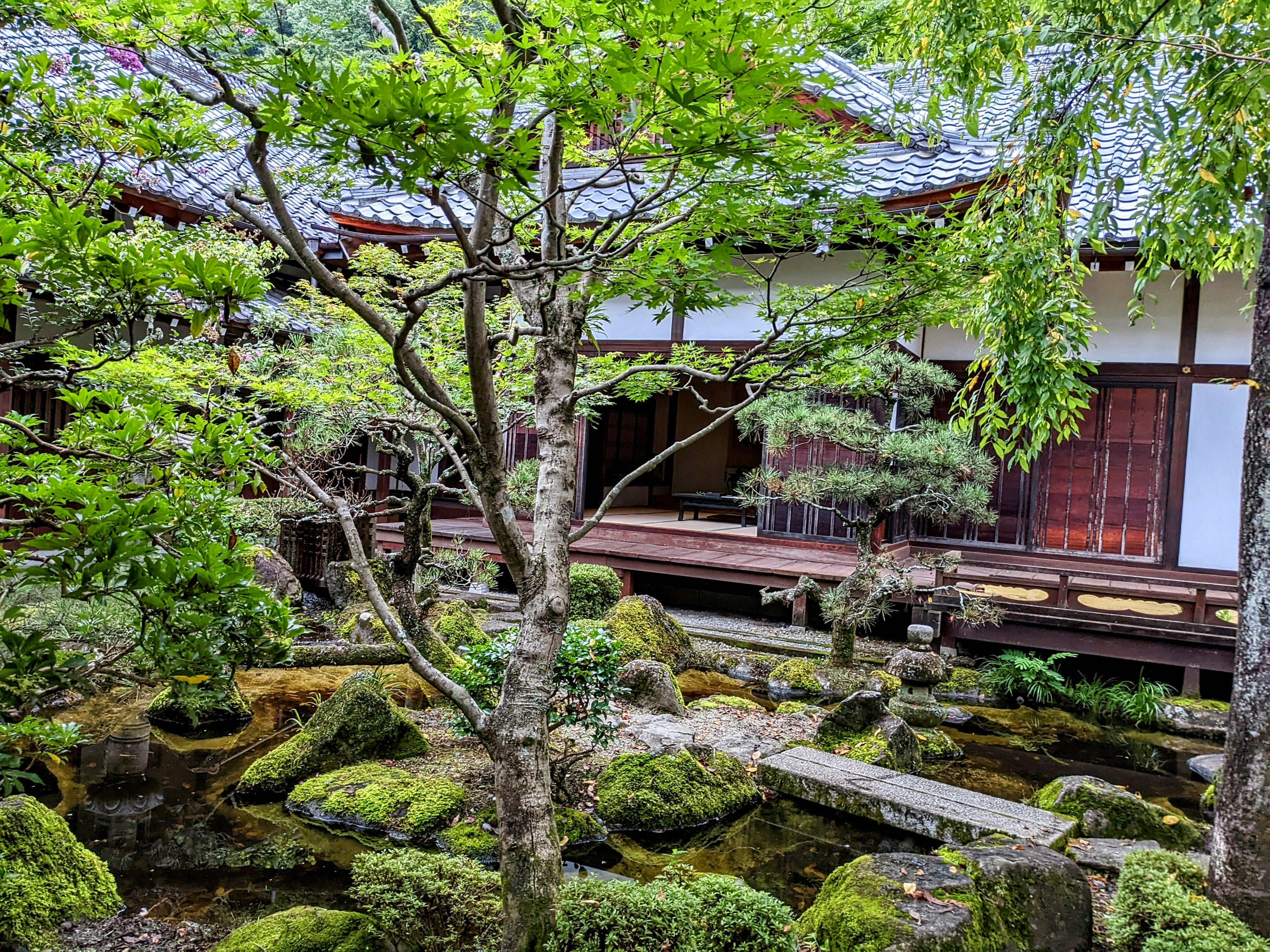 Lush garden scene with traditional architecture