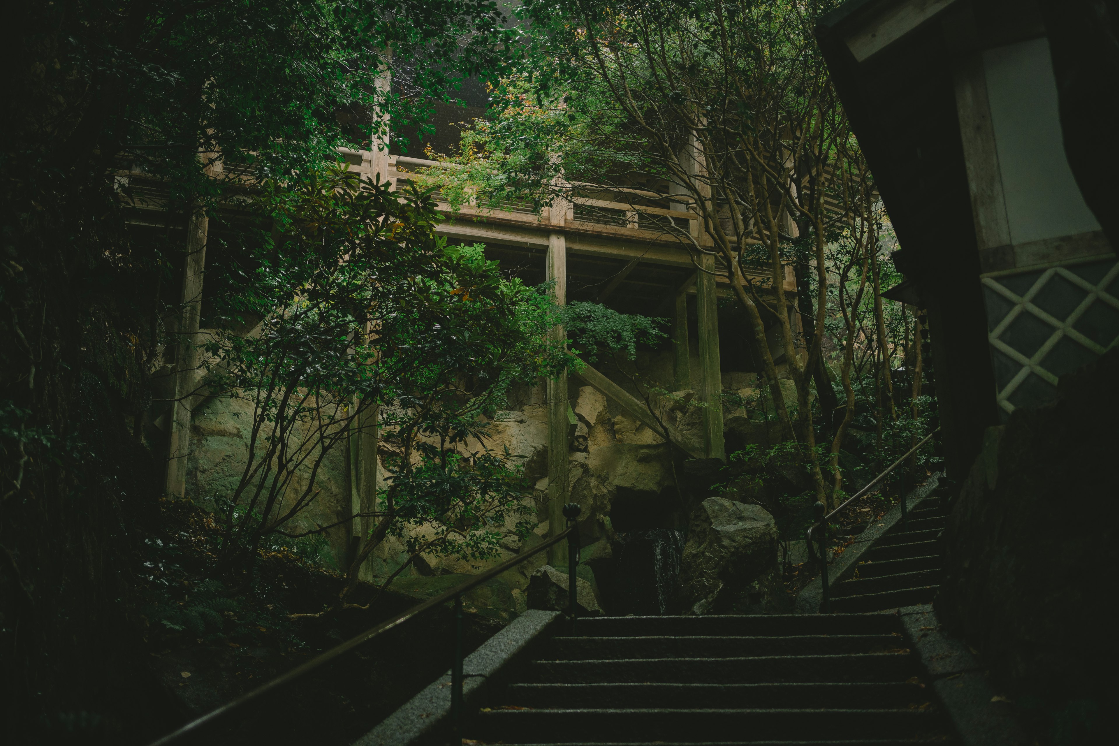 Treppe umgeben von üppigem Grün und Holzgeländer