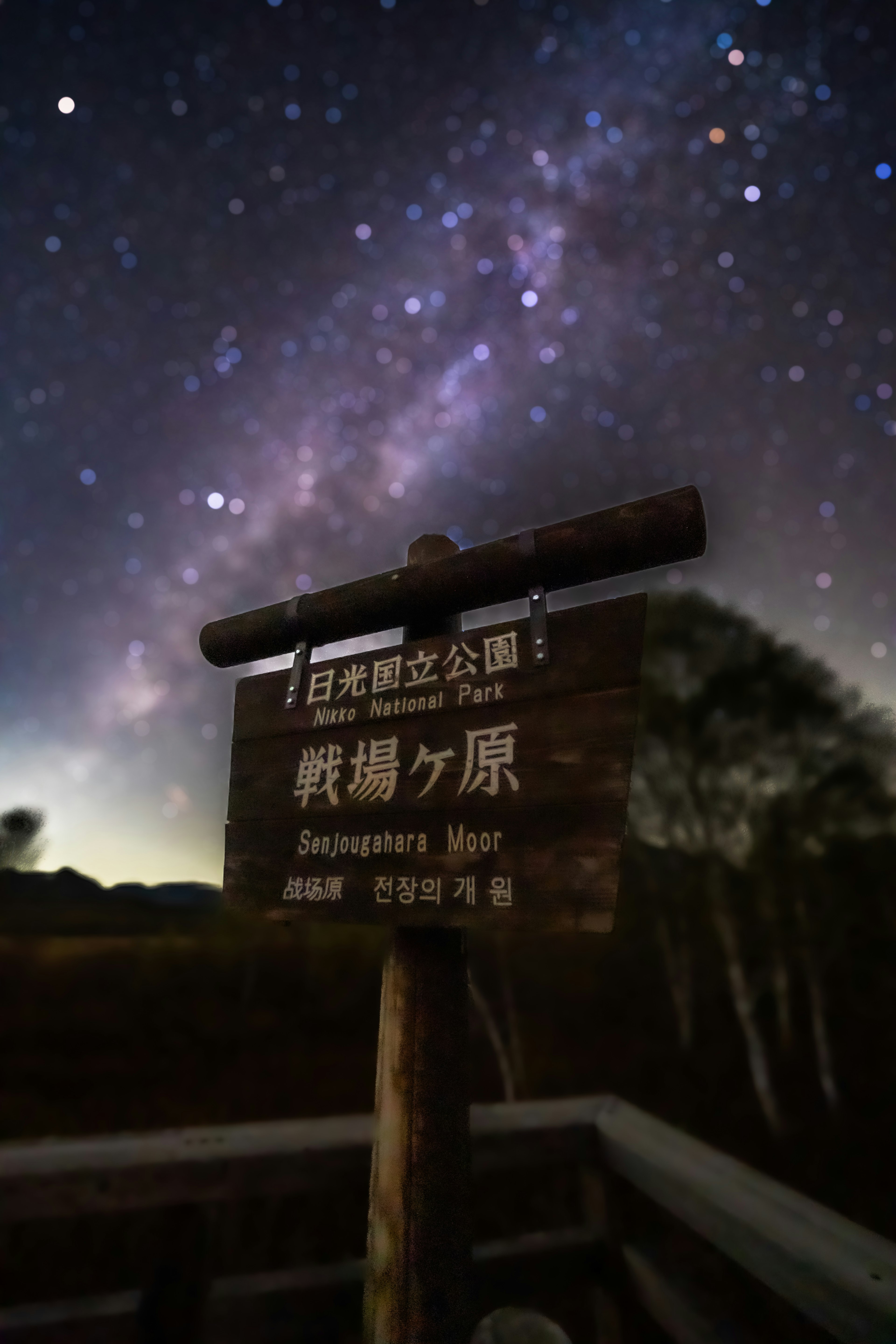 星空の下にあるサインが映る風景