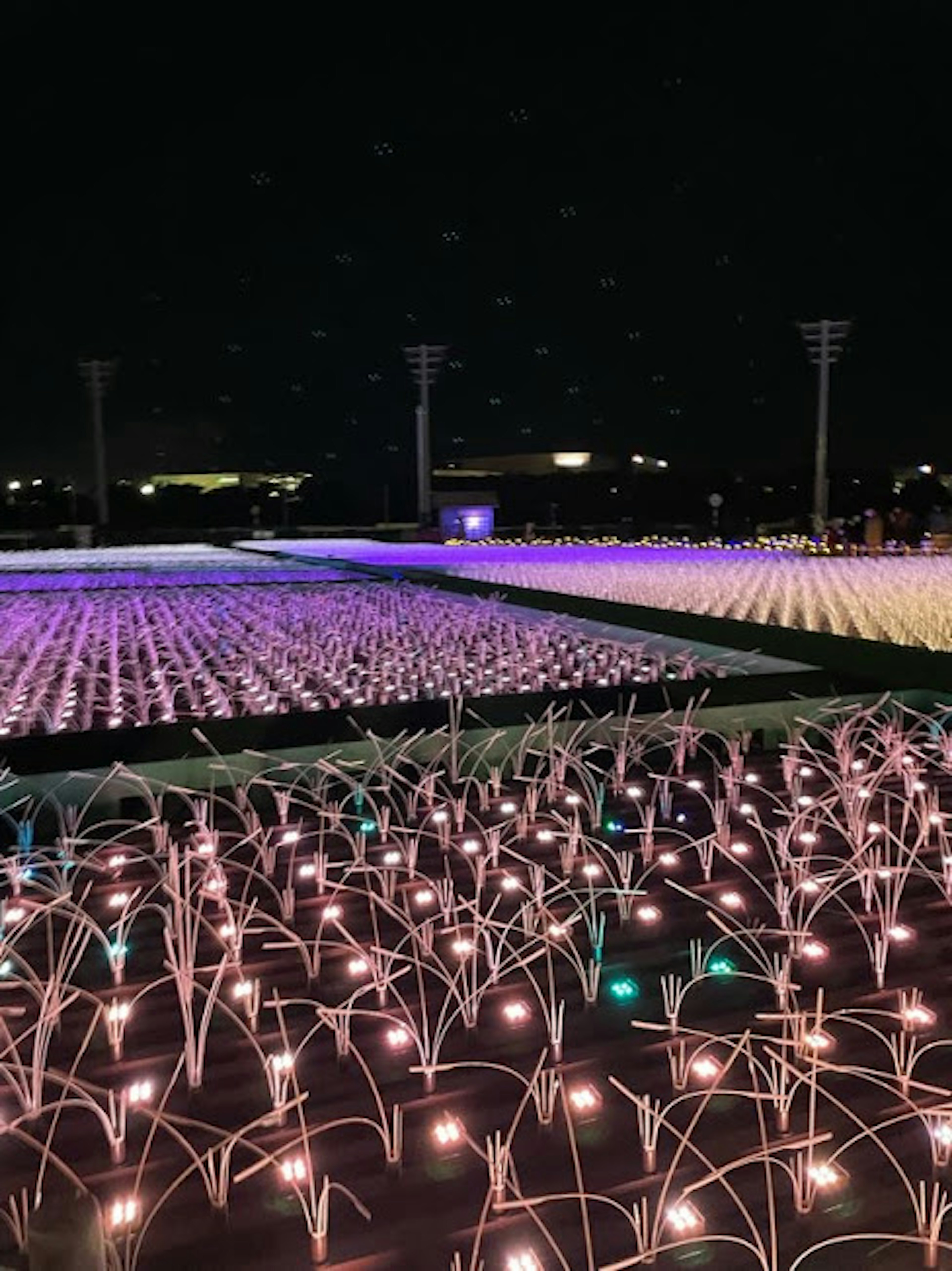 Un paisaje de campos de hierba iluminados por la noche