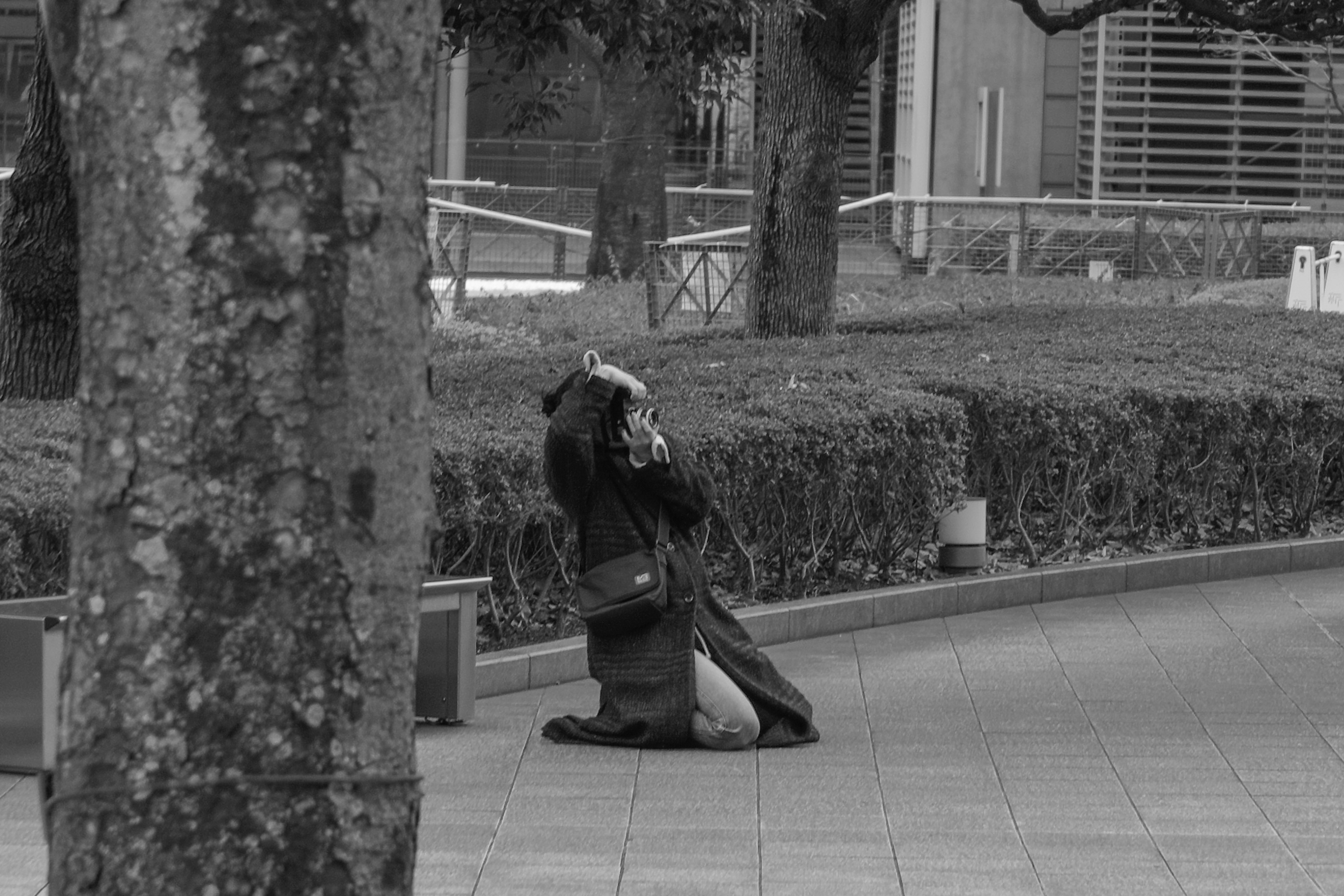 Person kneeling in a black and white park setting