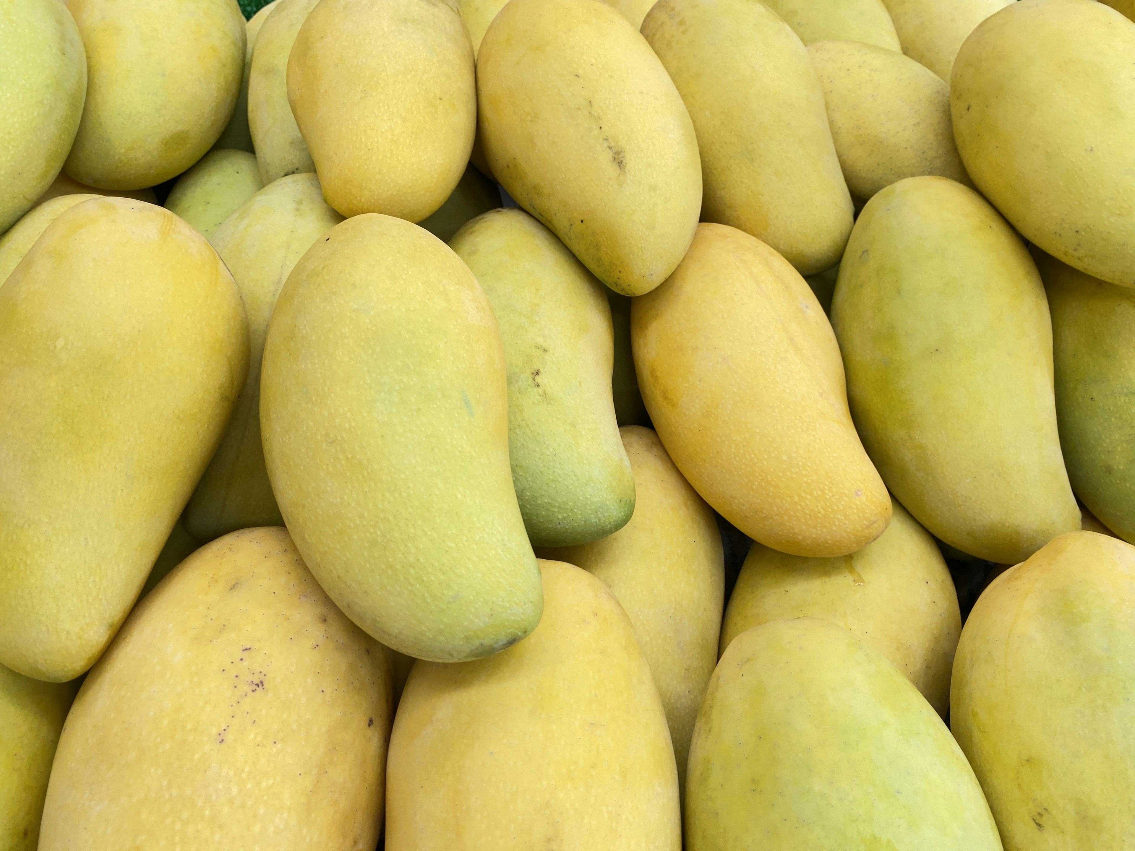 Una pila de mangos amarillos apilados juntos