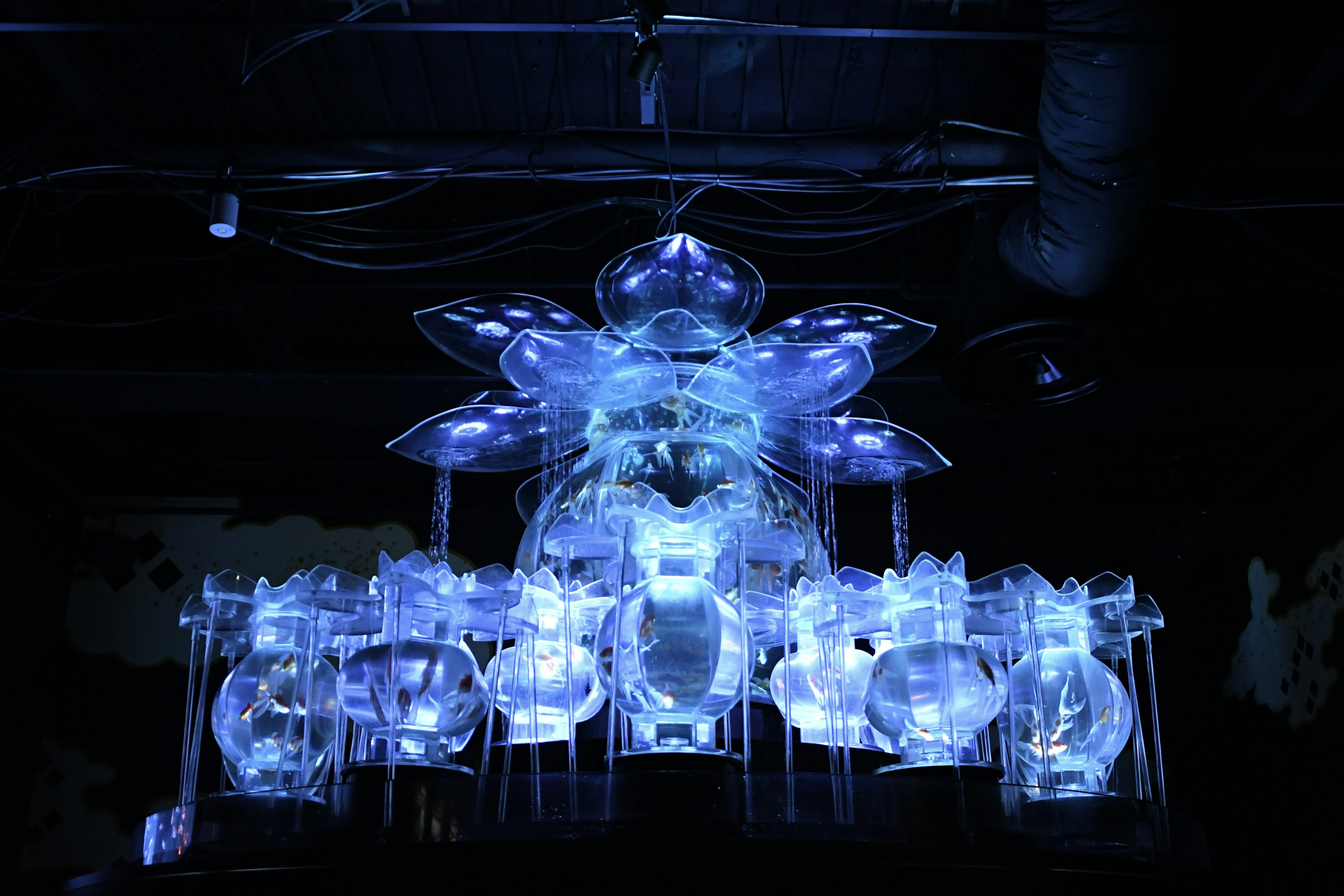 A transparent chandelier emitting blue light