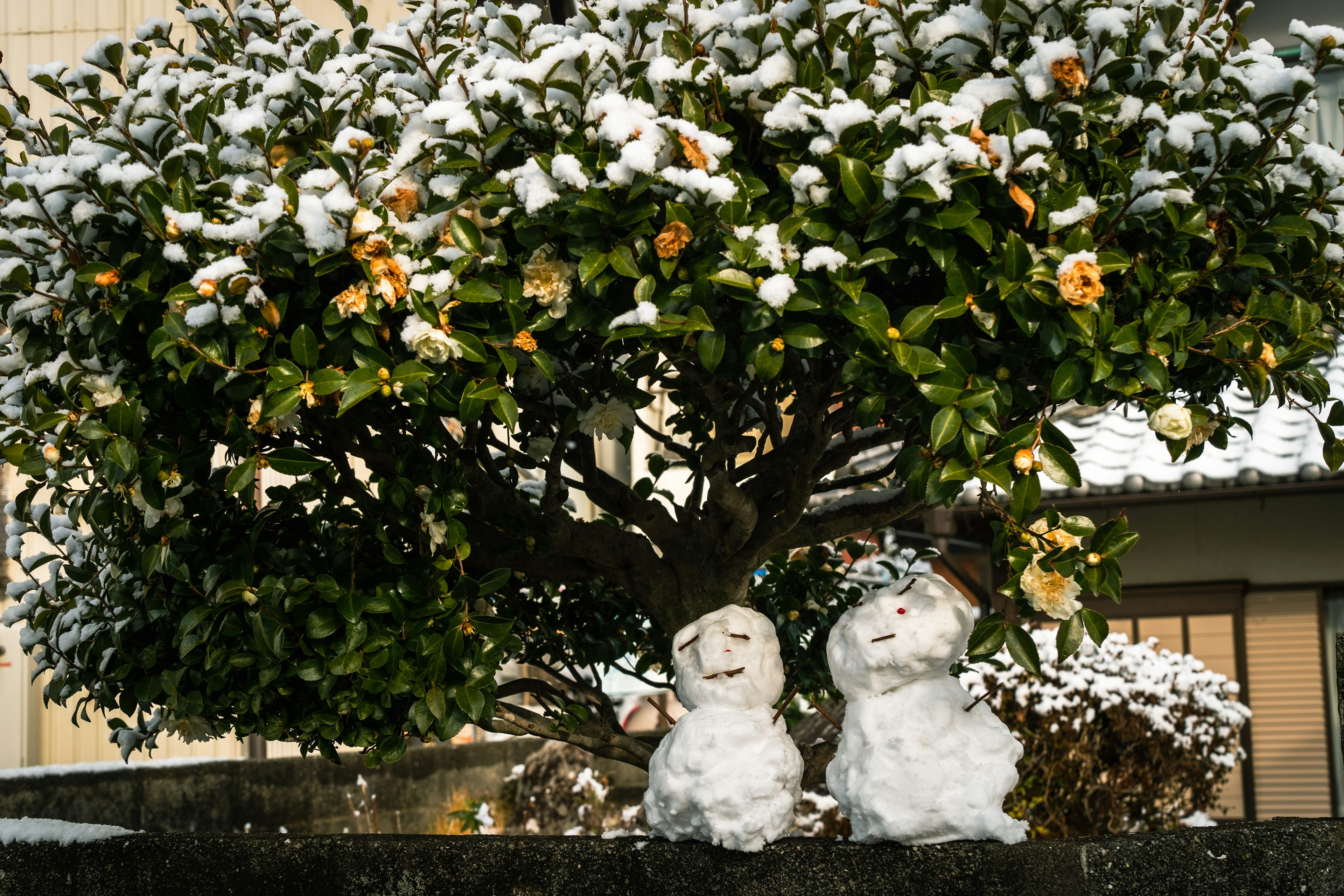 Two snowmen standing under a snow-covered tree