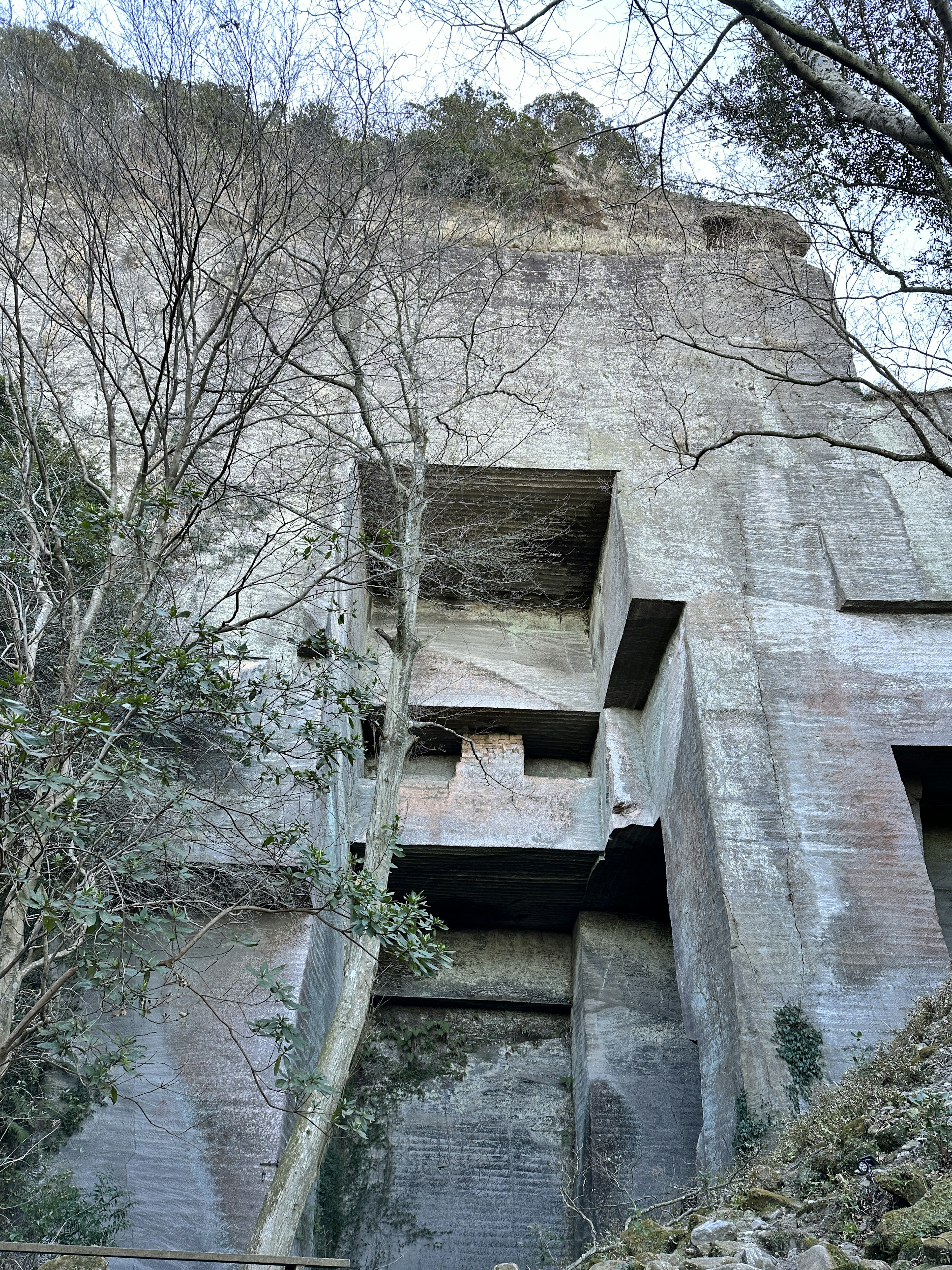 Structure unique creusée dans une falaise en béton avec des arbres environnants