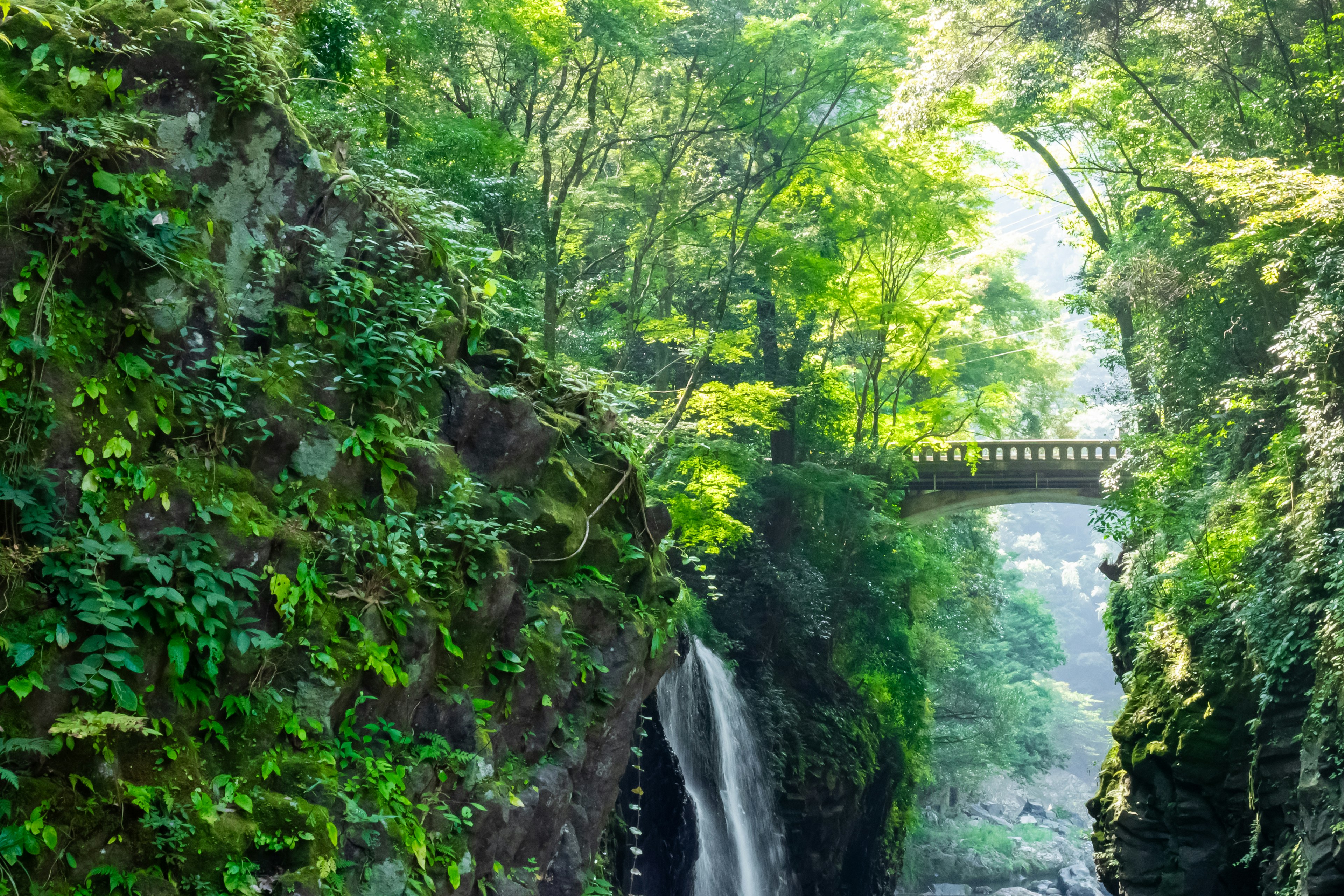 緑豊かな渓谷に架かる美しい橋と滝の風景