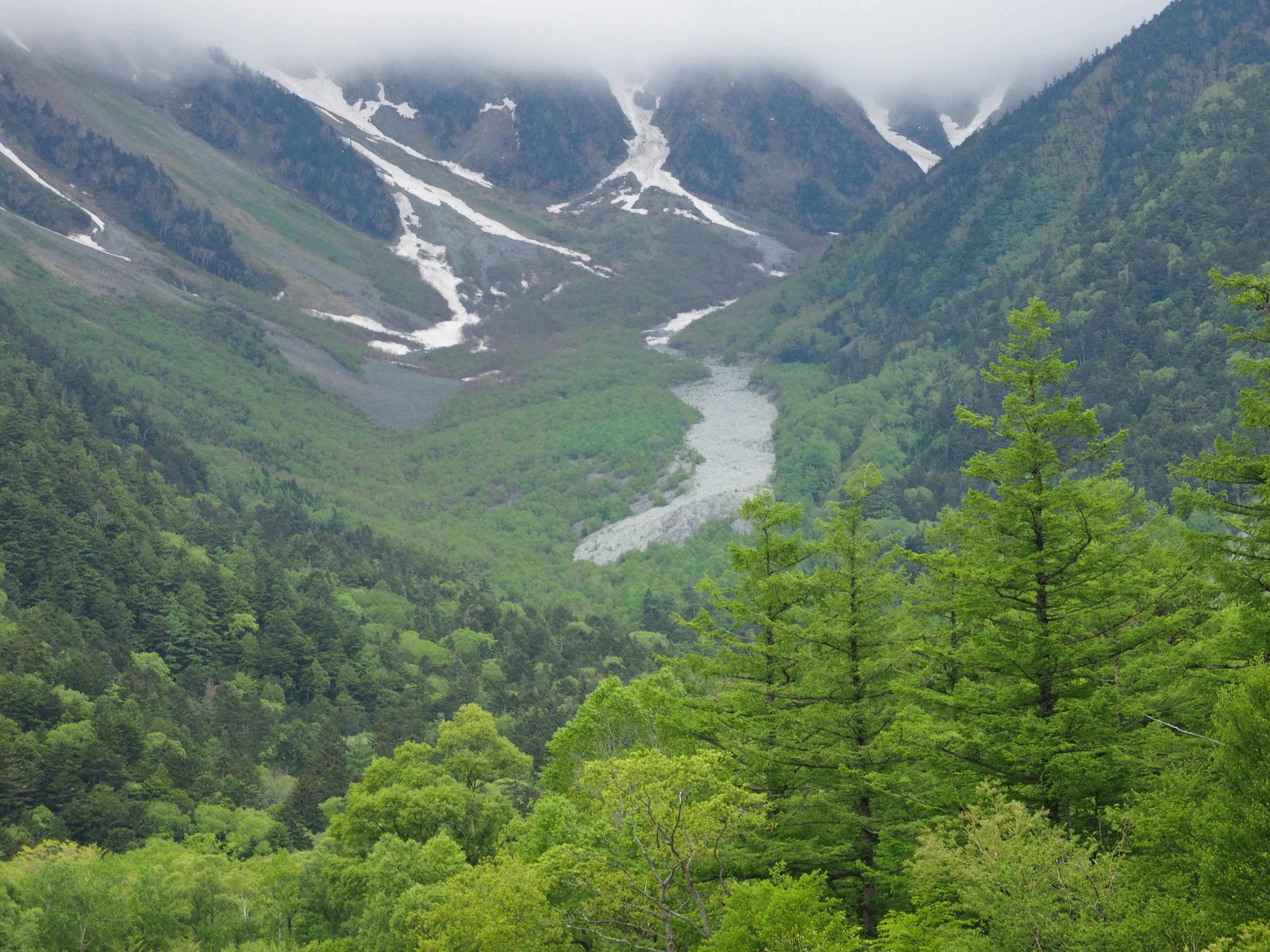 緑豊かな山々と川の景色 雪をかぶった山の斜面と霧に覆われた風景