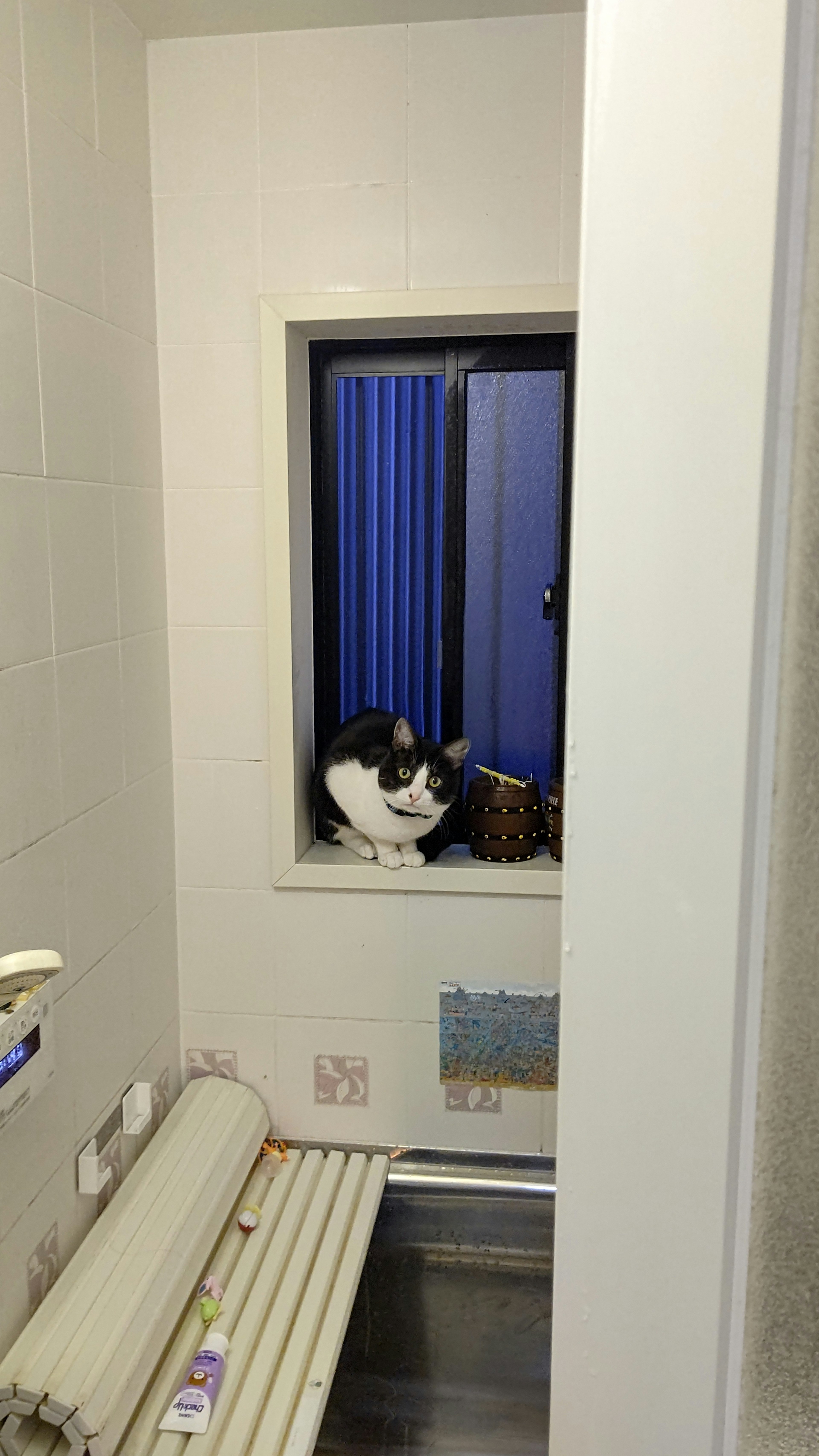 Habitación estrecha con una ventana y un gato blanco y negro sentado en el alféizar