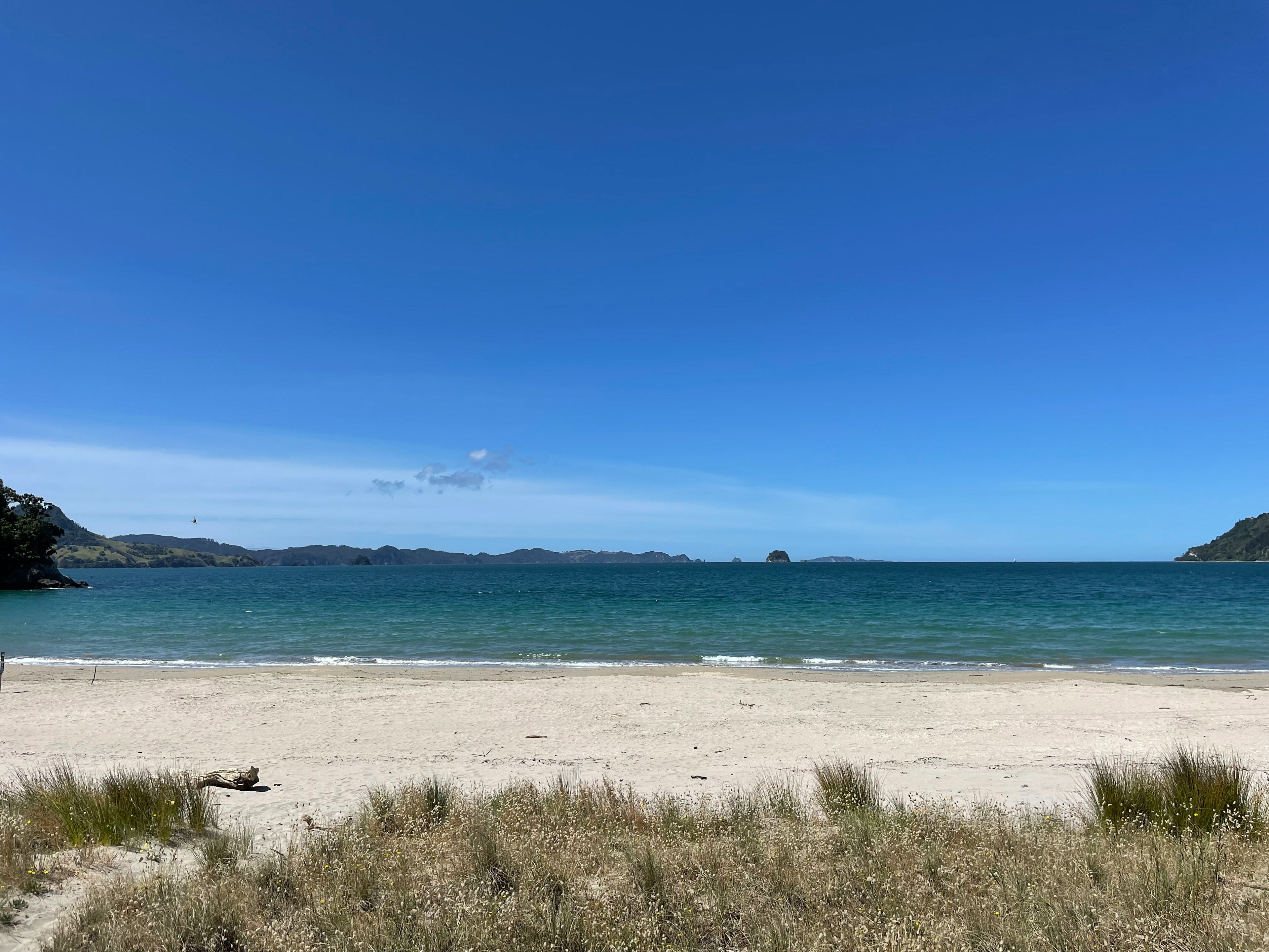 青い海と広い砂浜の風景で青空が広がる