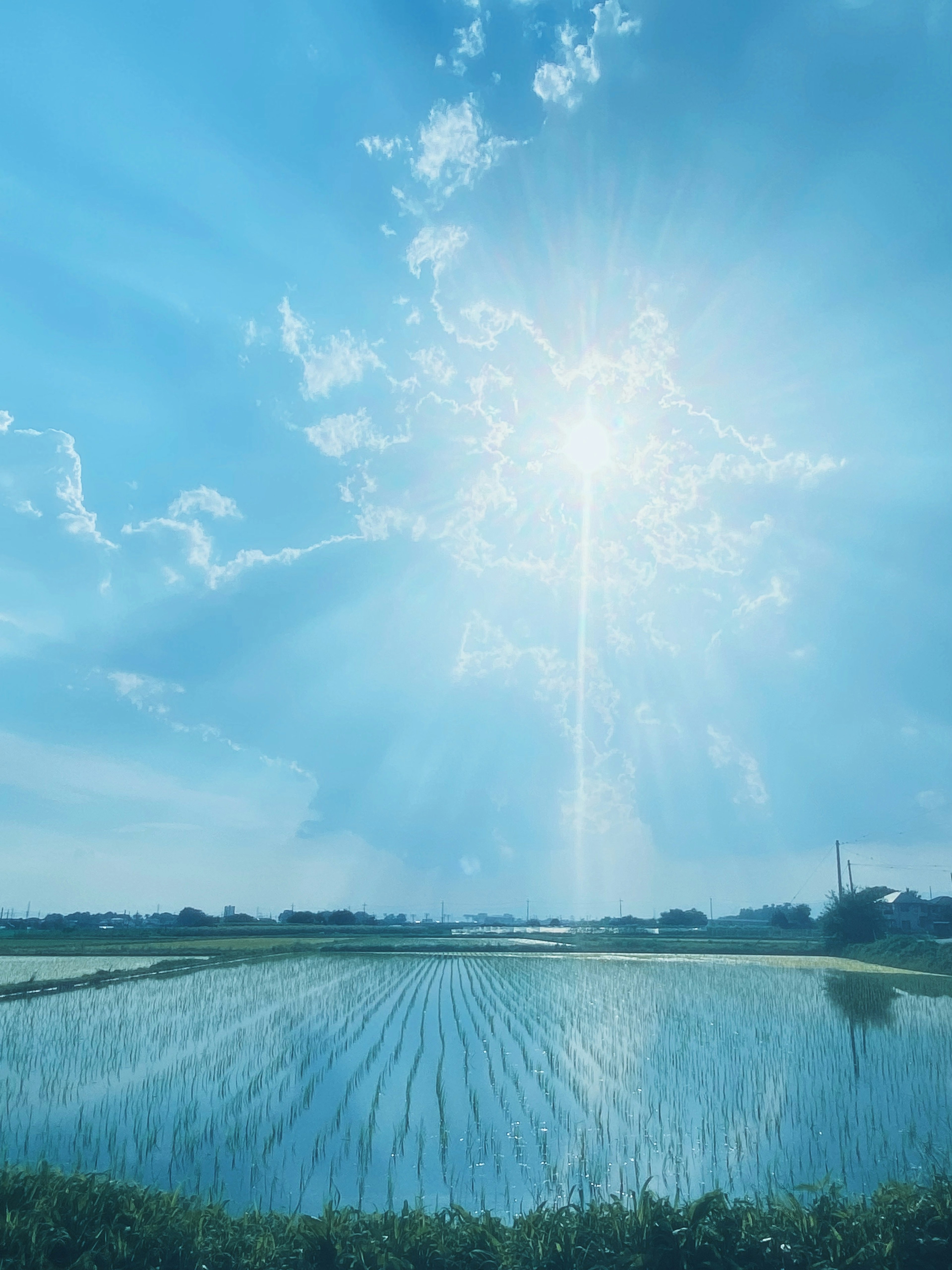 青空と稲田の風景に光が差し込む美しい風景