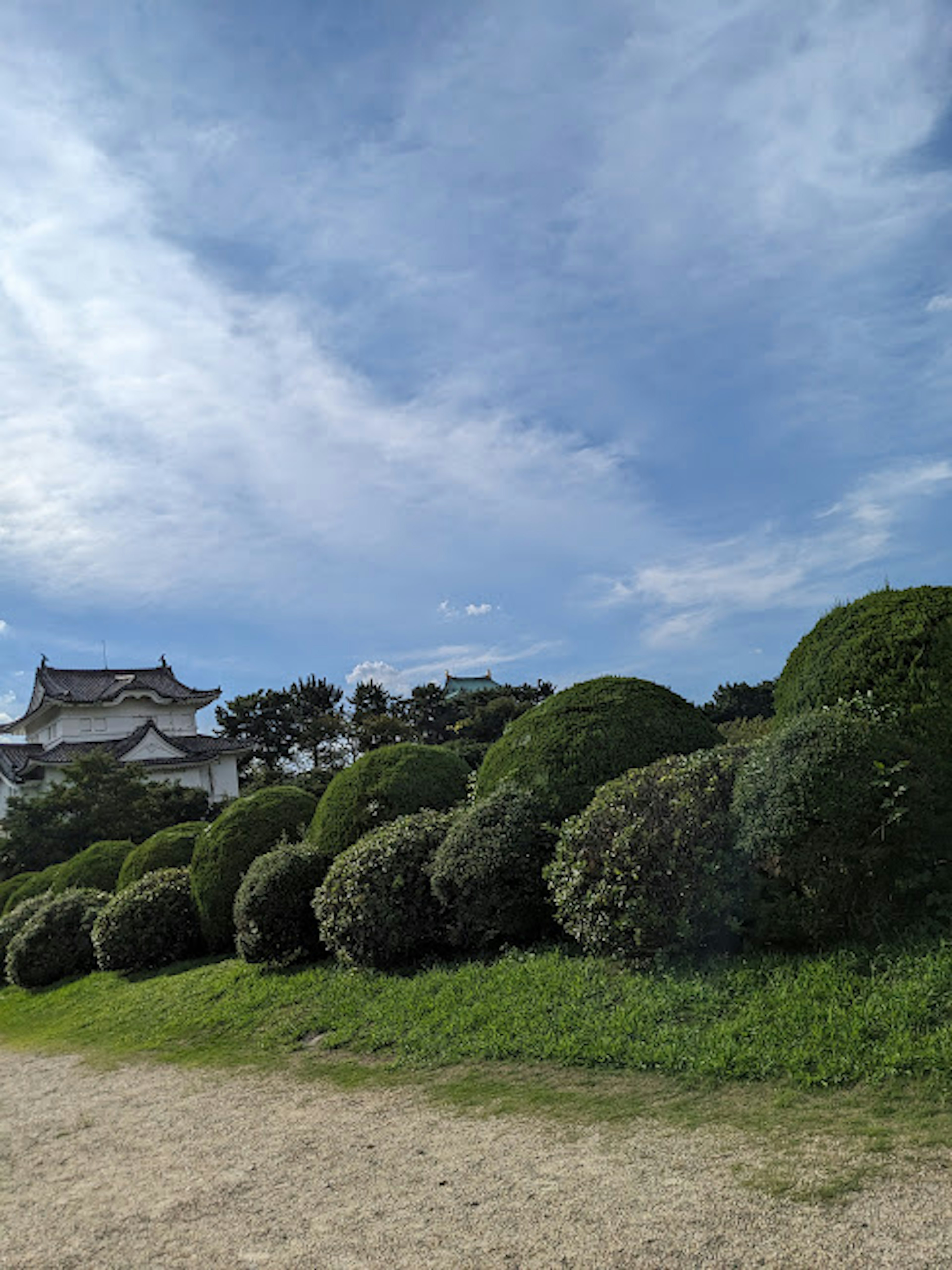 青空の下の庭に並ぶ丸い低木と遠くの城