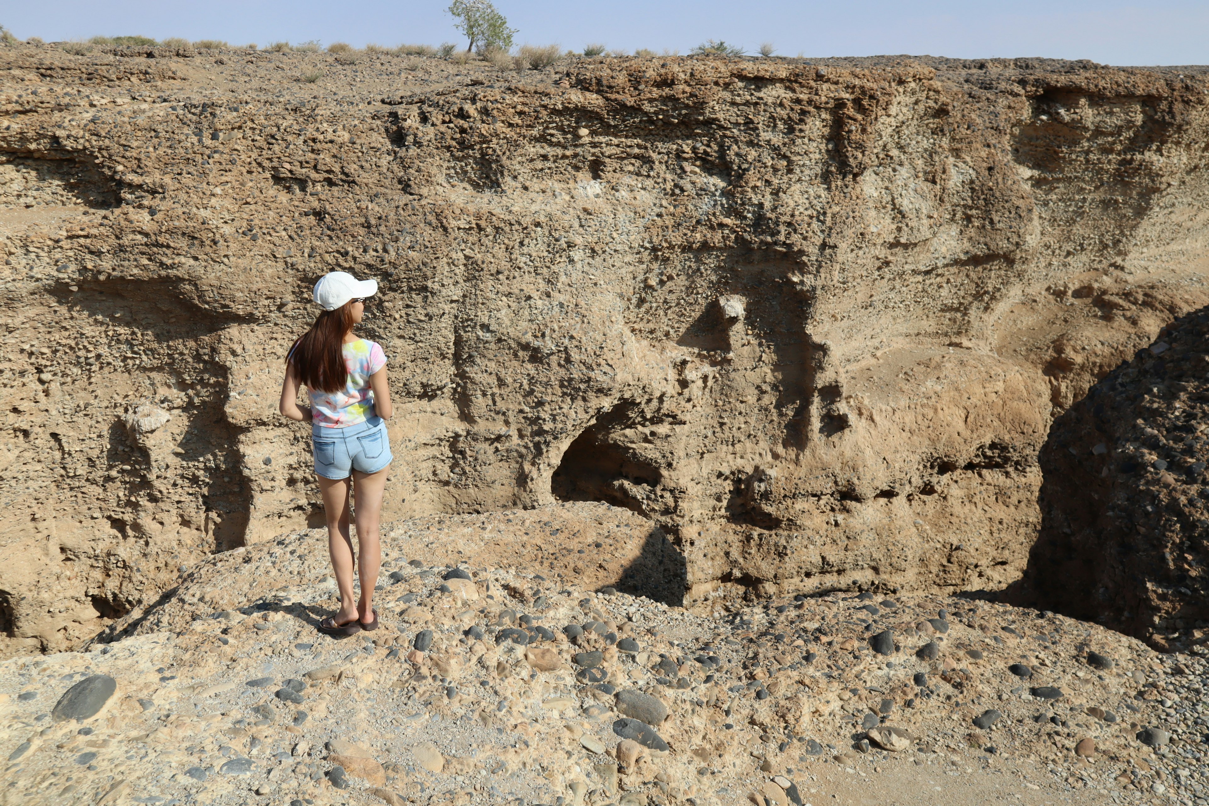 A woman standing on a cliff overlooking a rugged landscape