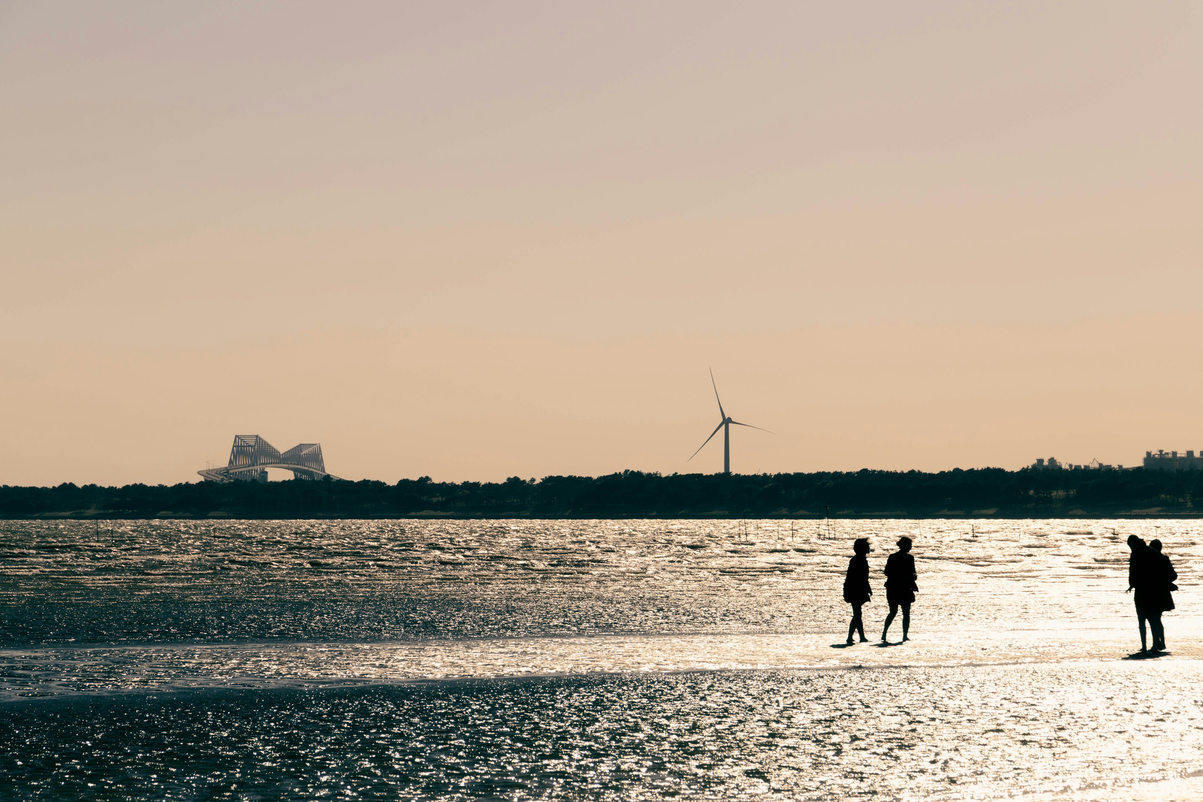 Siluetas de personas caminando por la playa con un fondo de atardecer