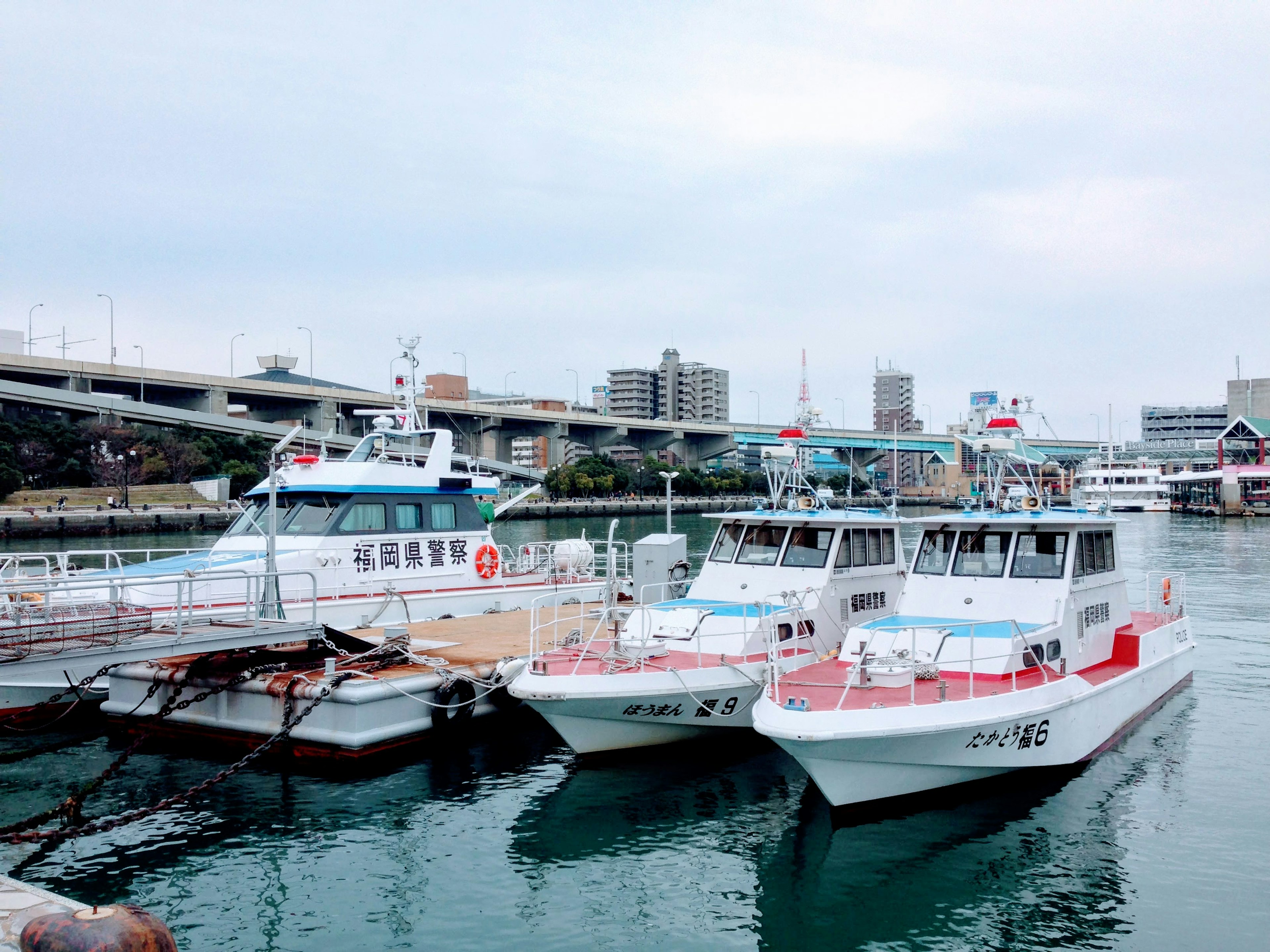 항구에 정박한 흰색 보트와 주변 건물들