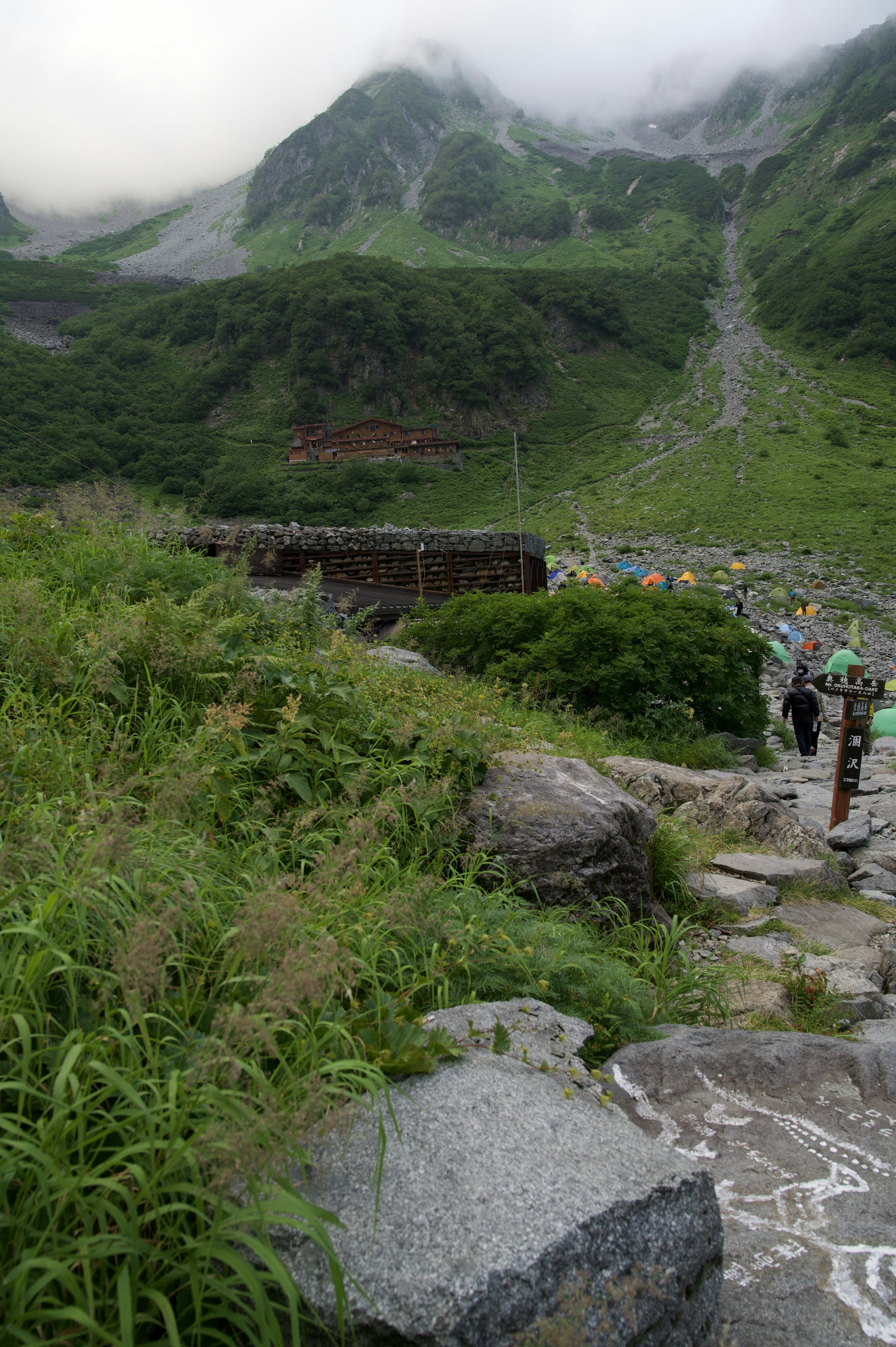 Lush green mountain landscape with misty clouds