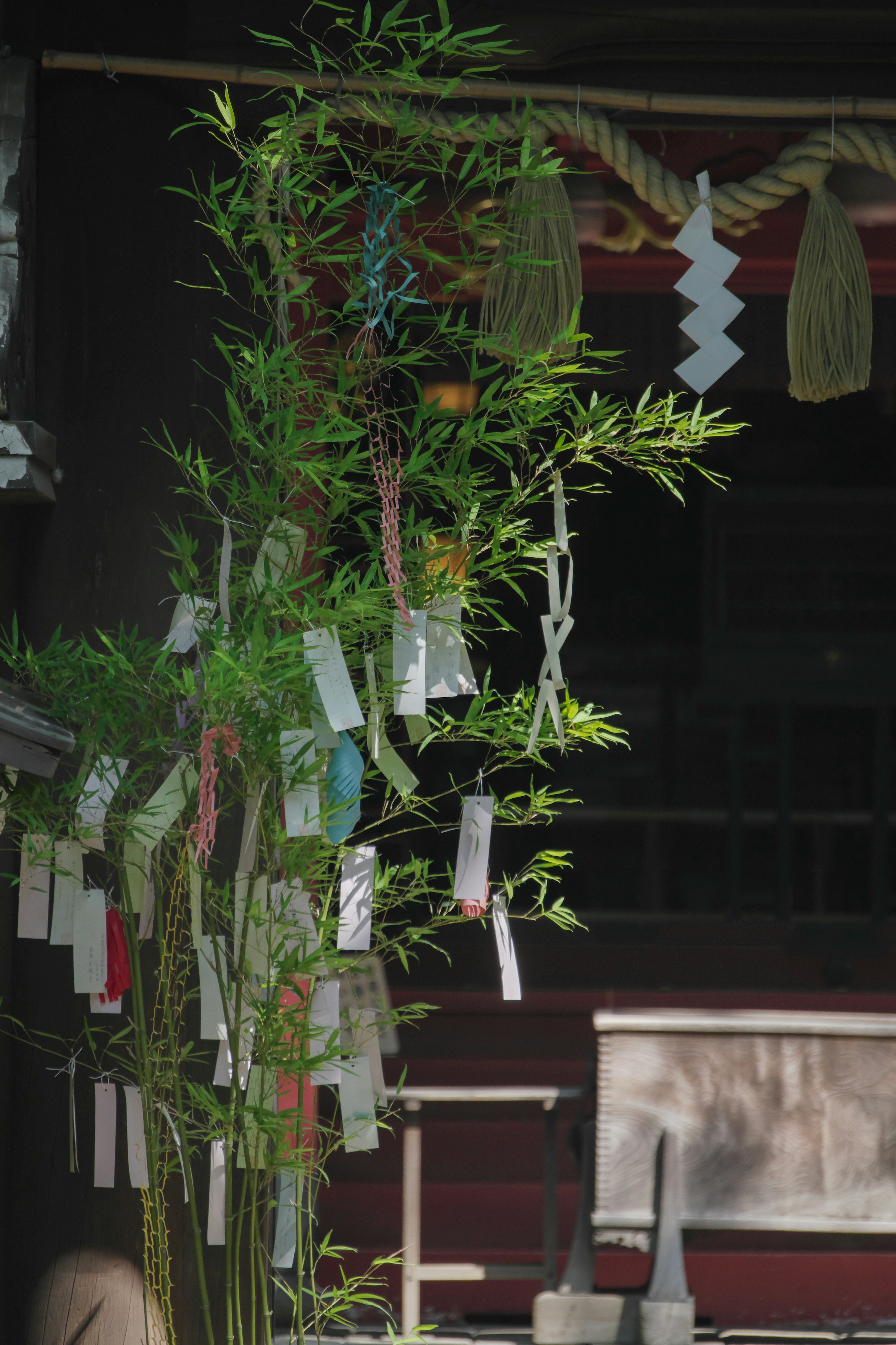 Branche de bambou ornée de tanzaku colorés et de papier décoratif