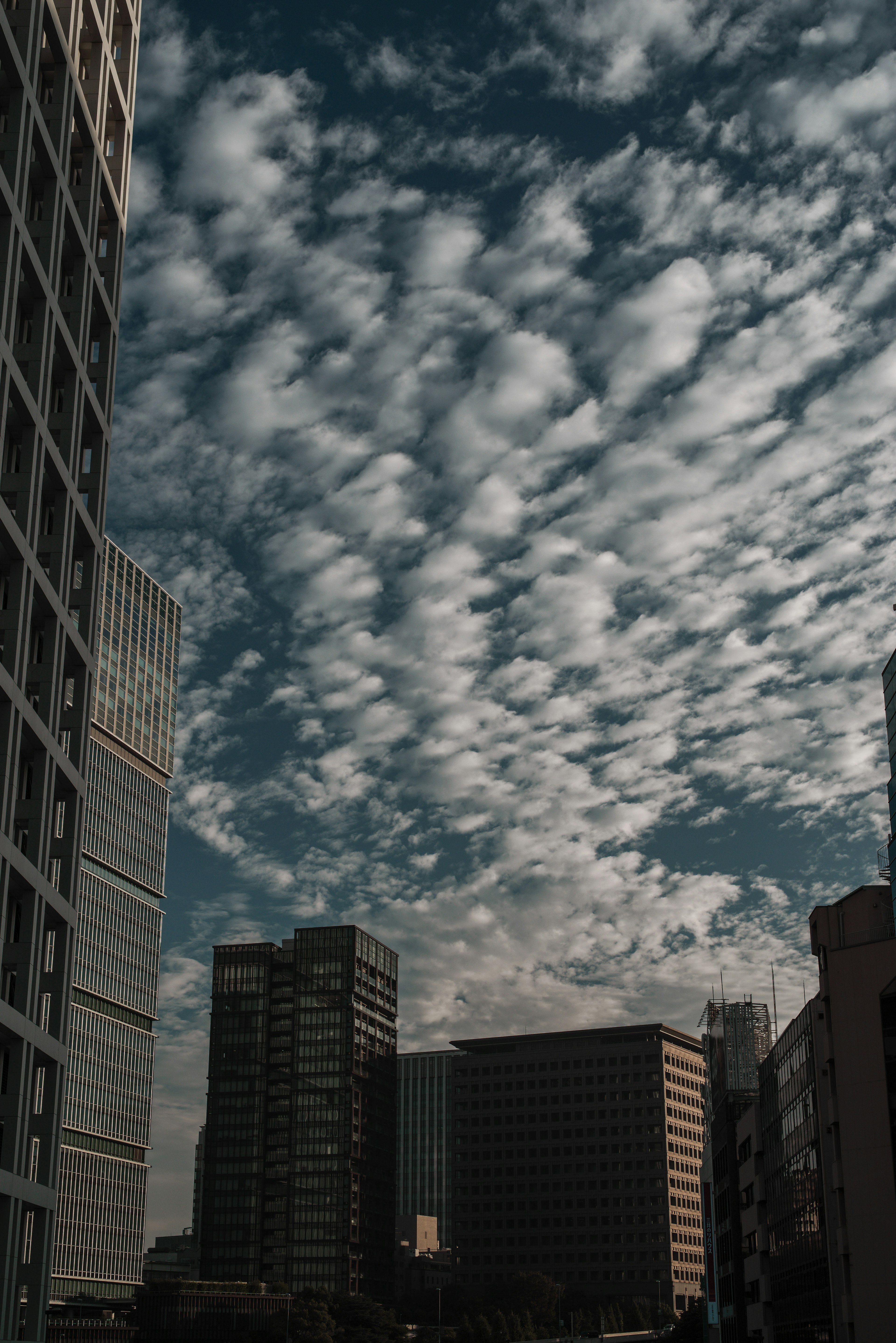 高層ビルと雲のある都市の風景