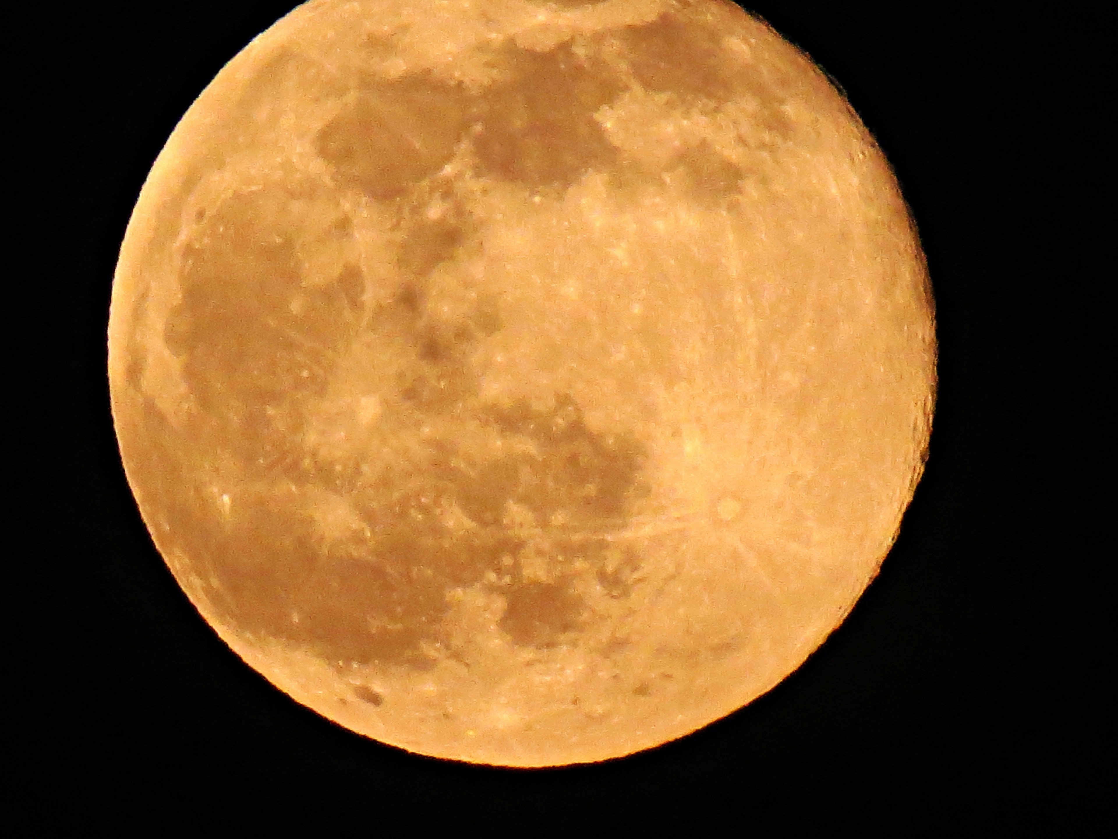 Großer orangefarbener Vollmond leuchtet am Nachthimmel