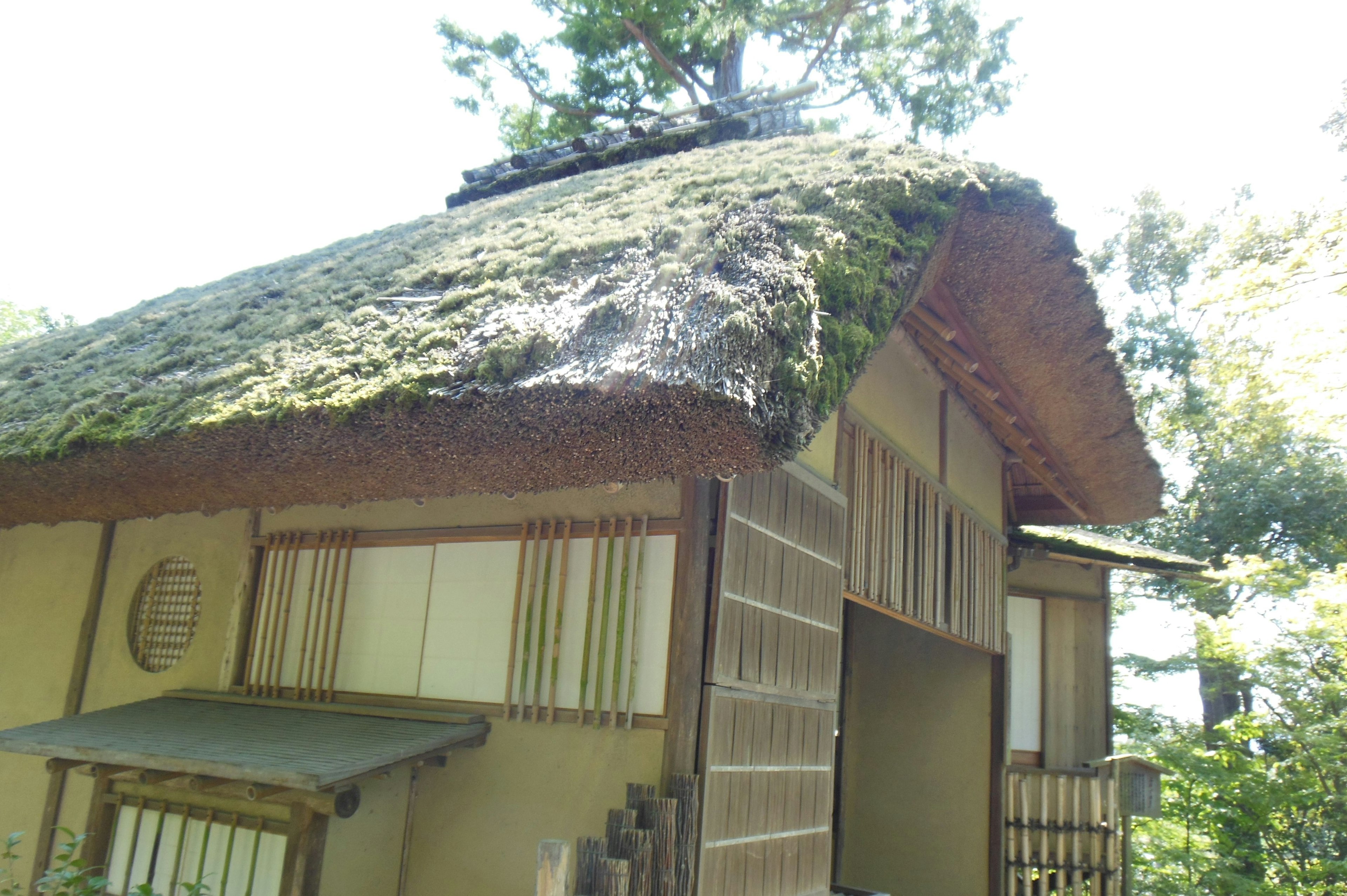 Casa japonesa tradicional con techo cubierto de musgo