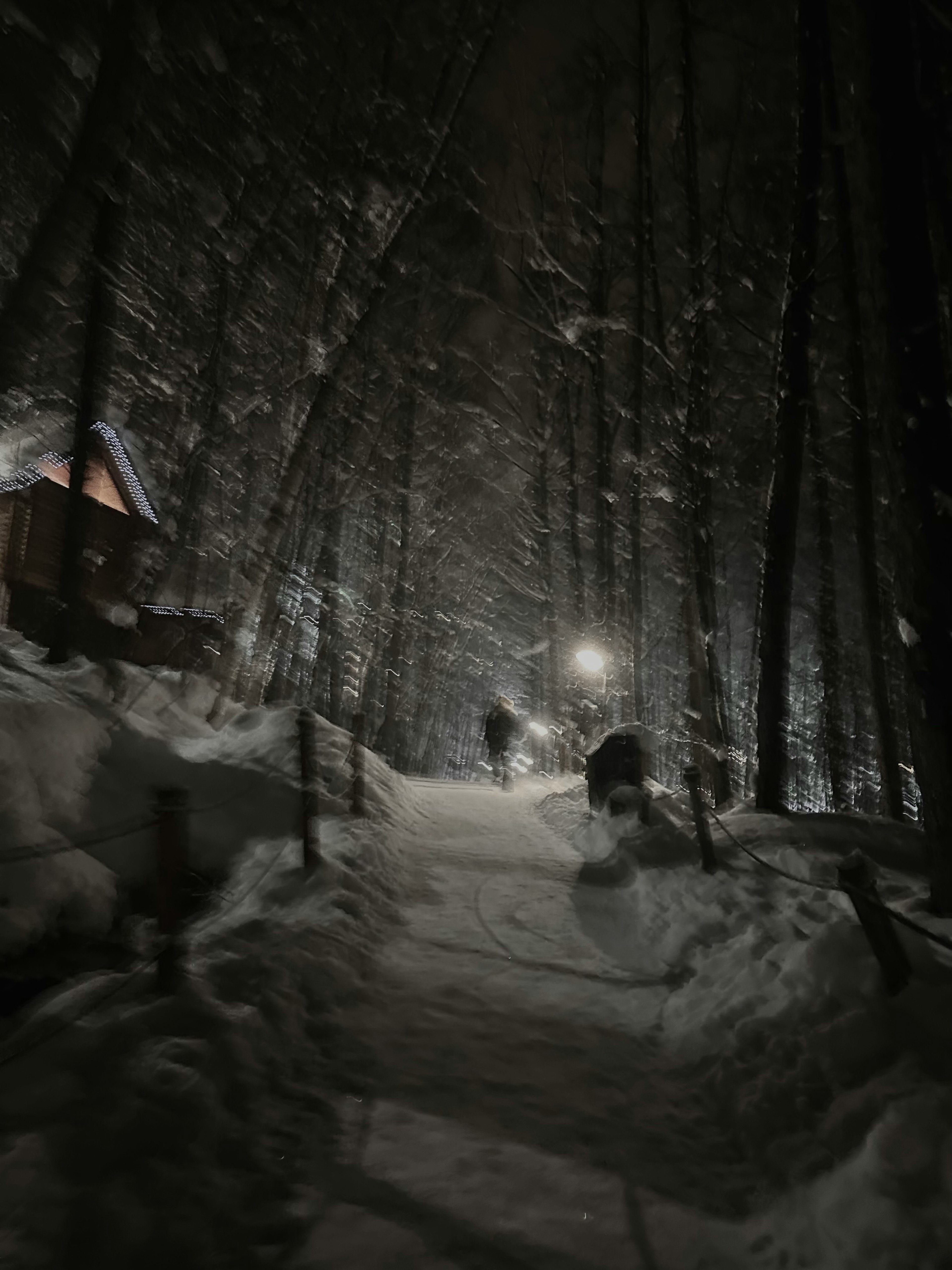 Scena notturna di persone che camminano in una foresta innevata con una baita