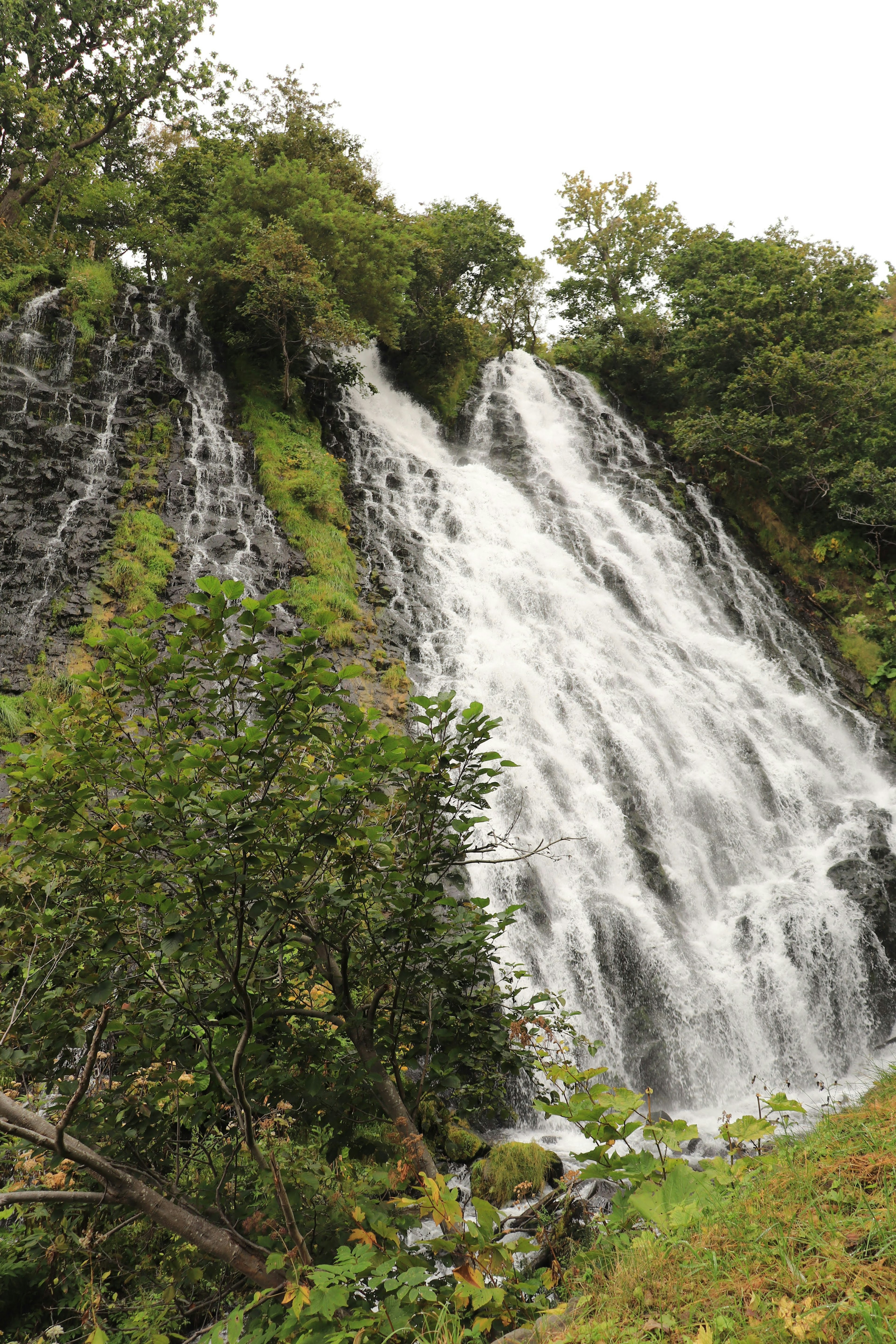 Une belle cascade dévalant une colline verdoyante