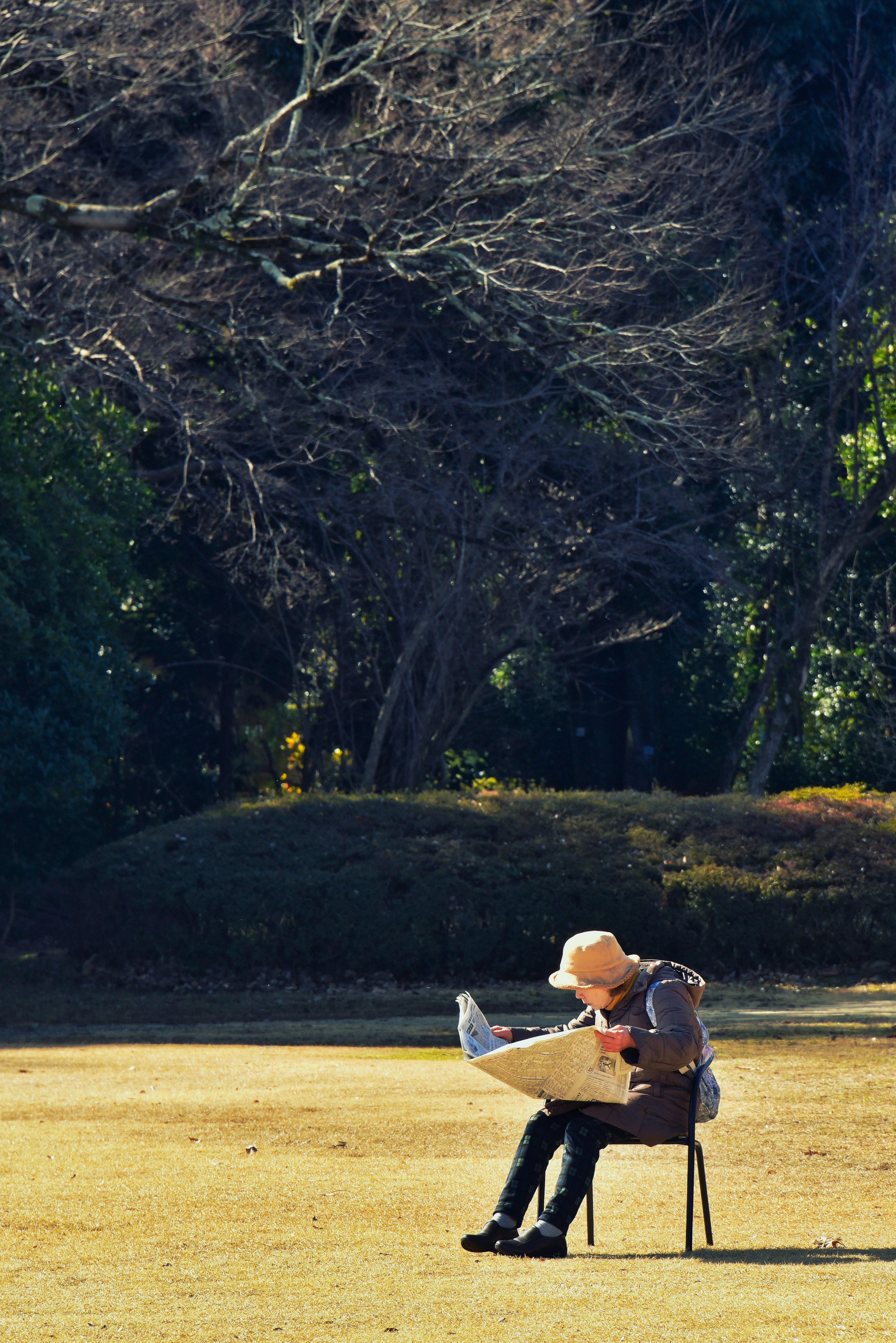 Una mujer sentada en una silla en un parque leyendo un libro Un gran árbol al fondo crea una atmósfera serena