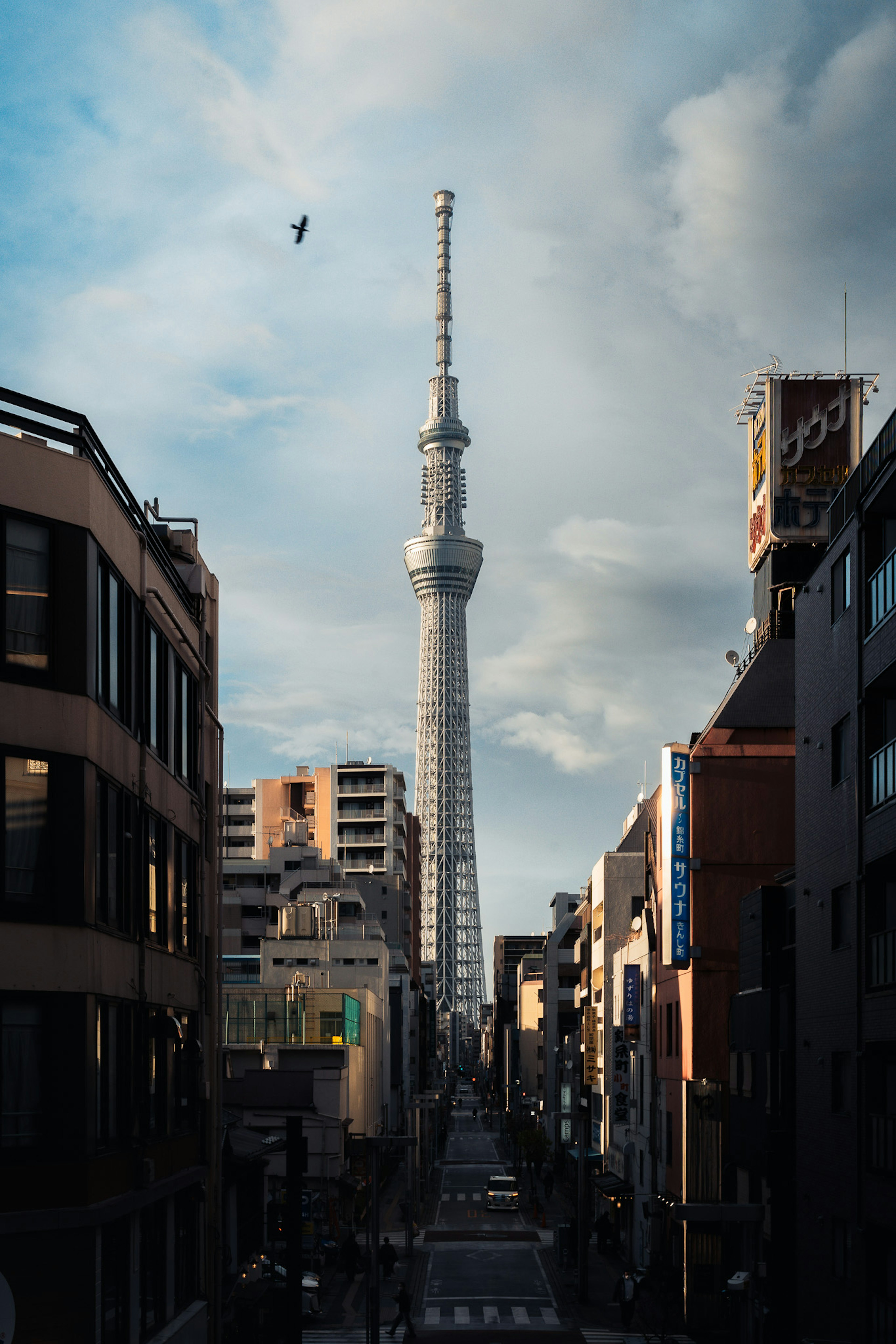 Stadtansicht mit der Tokyo Skytree vor einem bewölkten Himmel