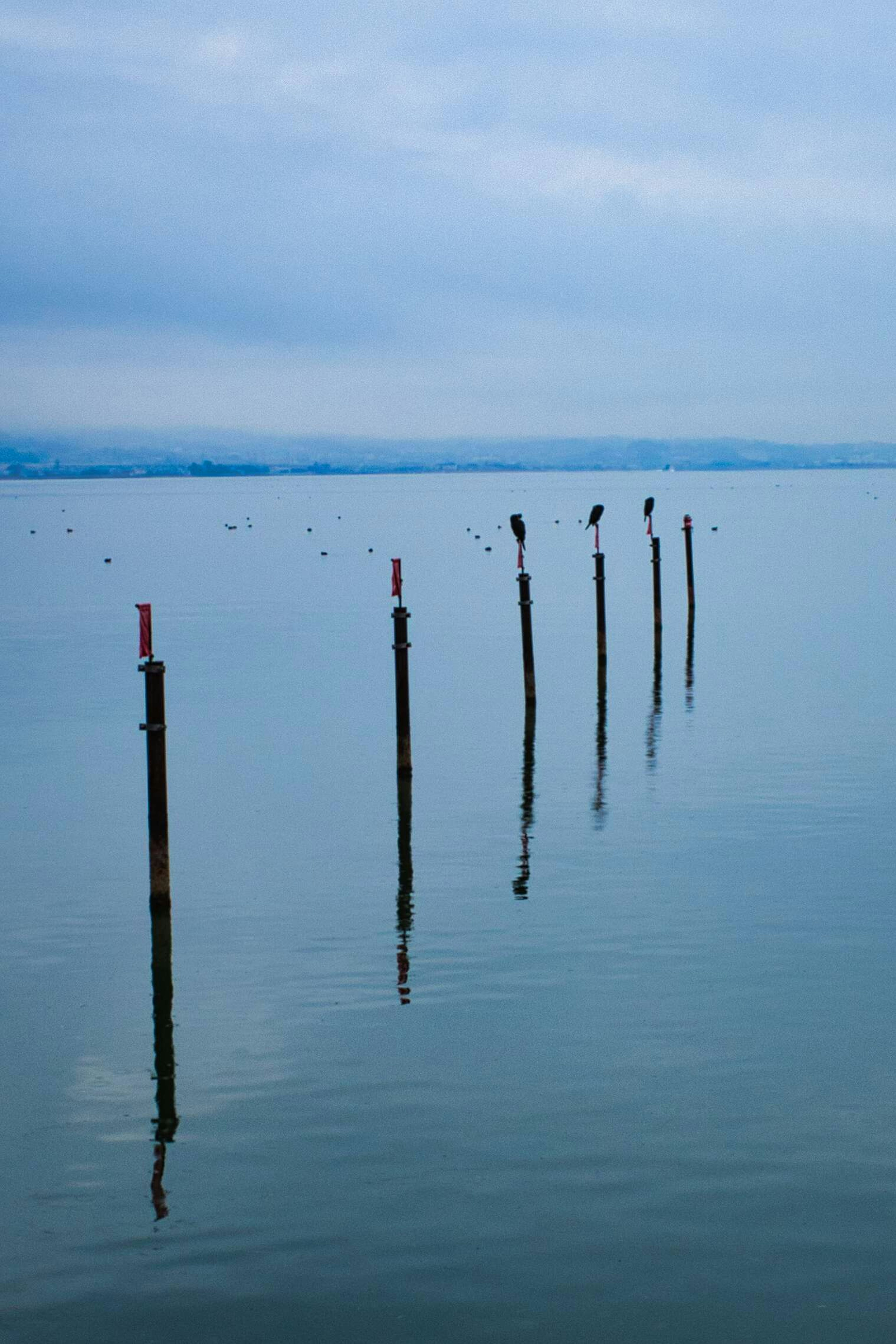 Silhouetten von Pfählen, die in ruhigem Wasser stehen, mit Vögeln oben drauf