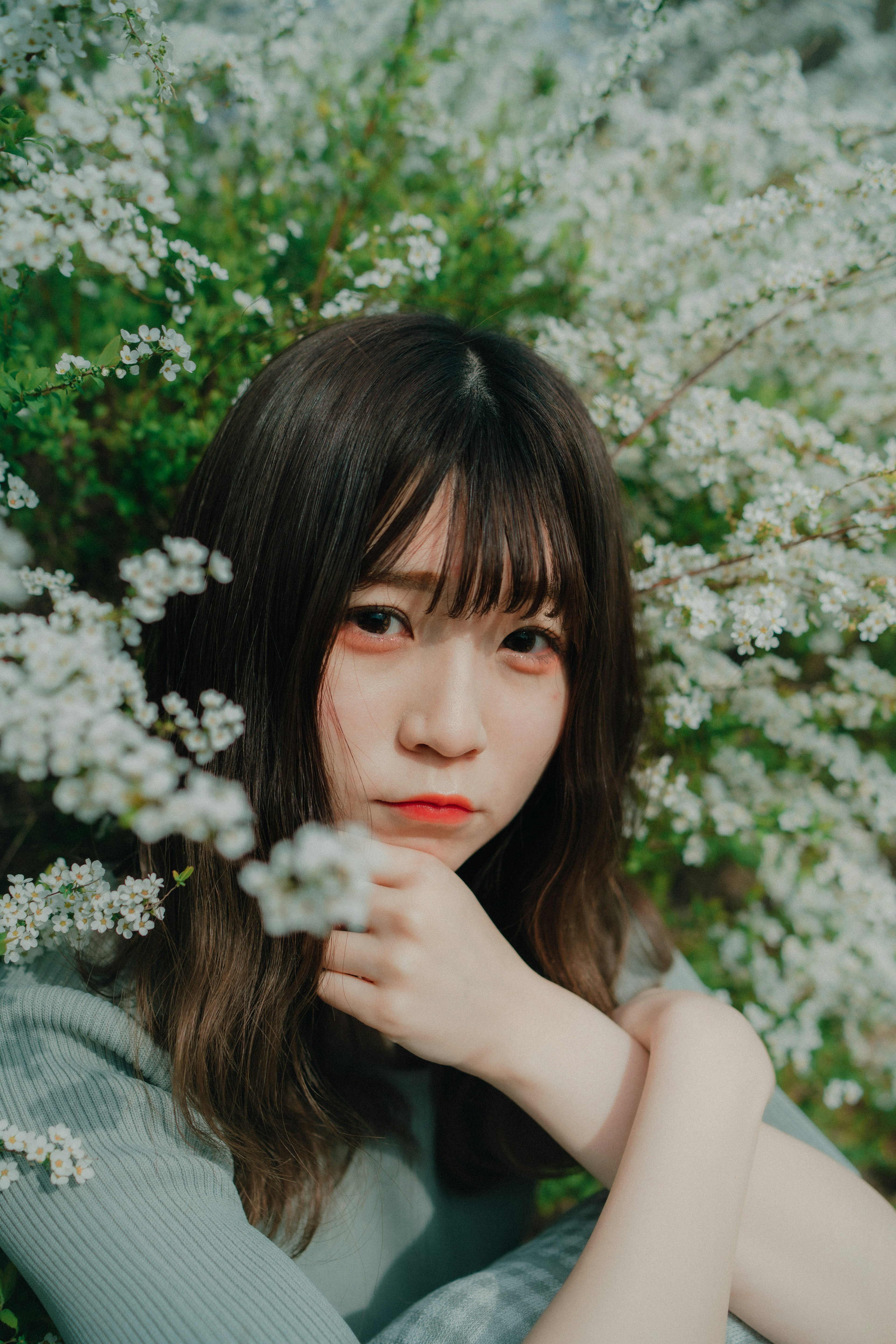 Portrait d'une jeune femme entourée de fleurs blanches