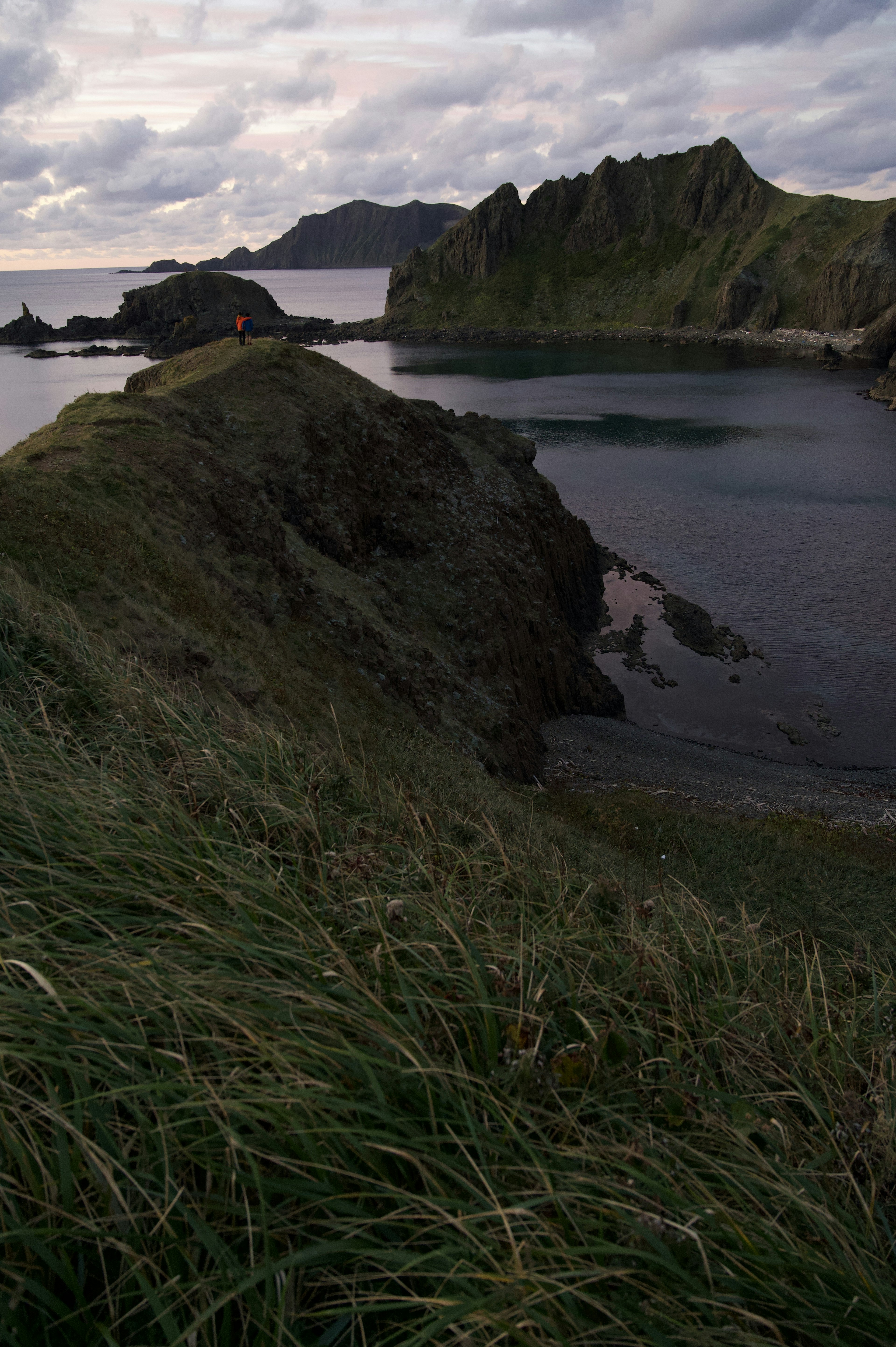 Coastal landscape featuring green grass and rocky cliffs