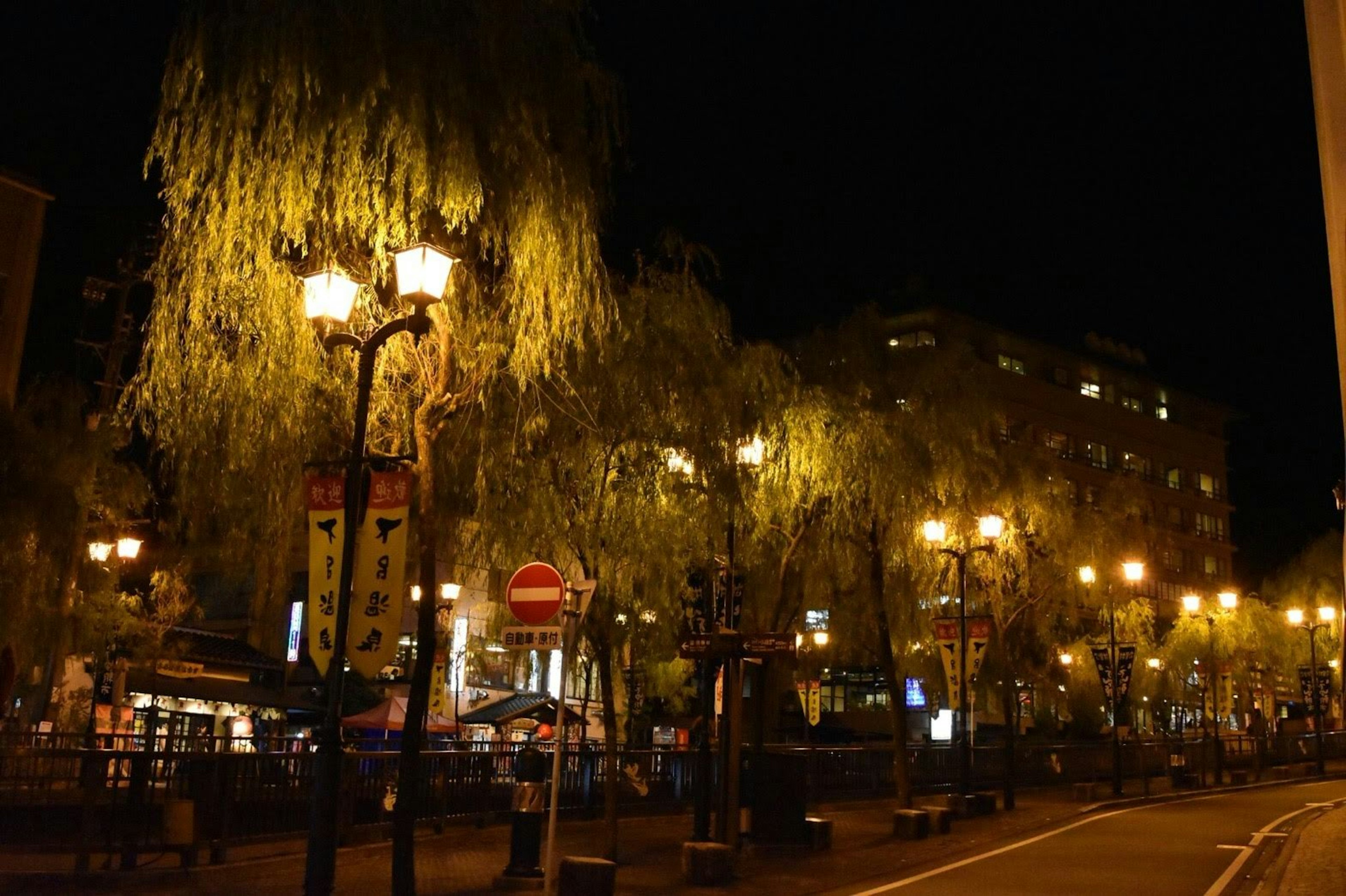 Jalan yang diterangi di malam hari dengan pohon willow dan lampu jalan yang bersinar