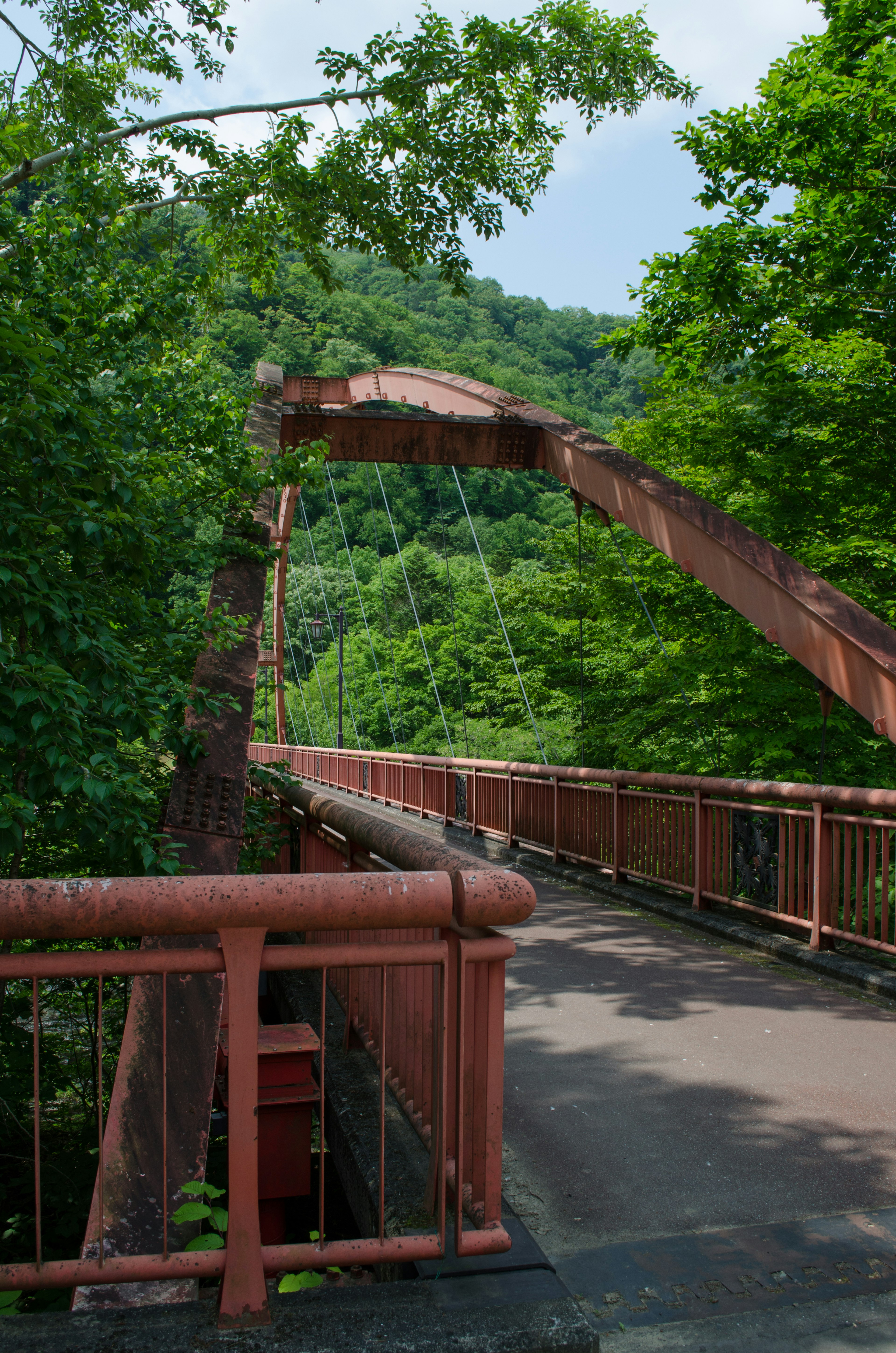 Arch bridge surrounded by greenery with a pathway