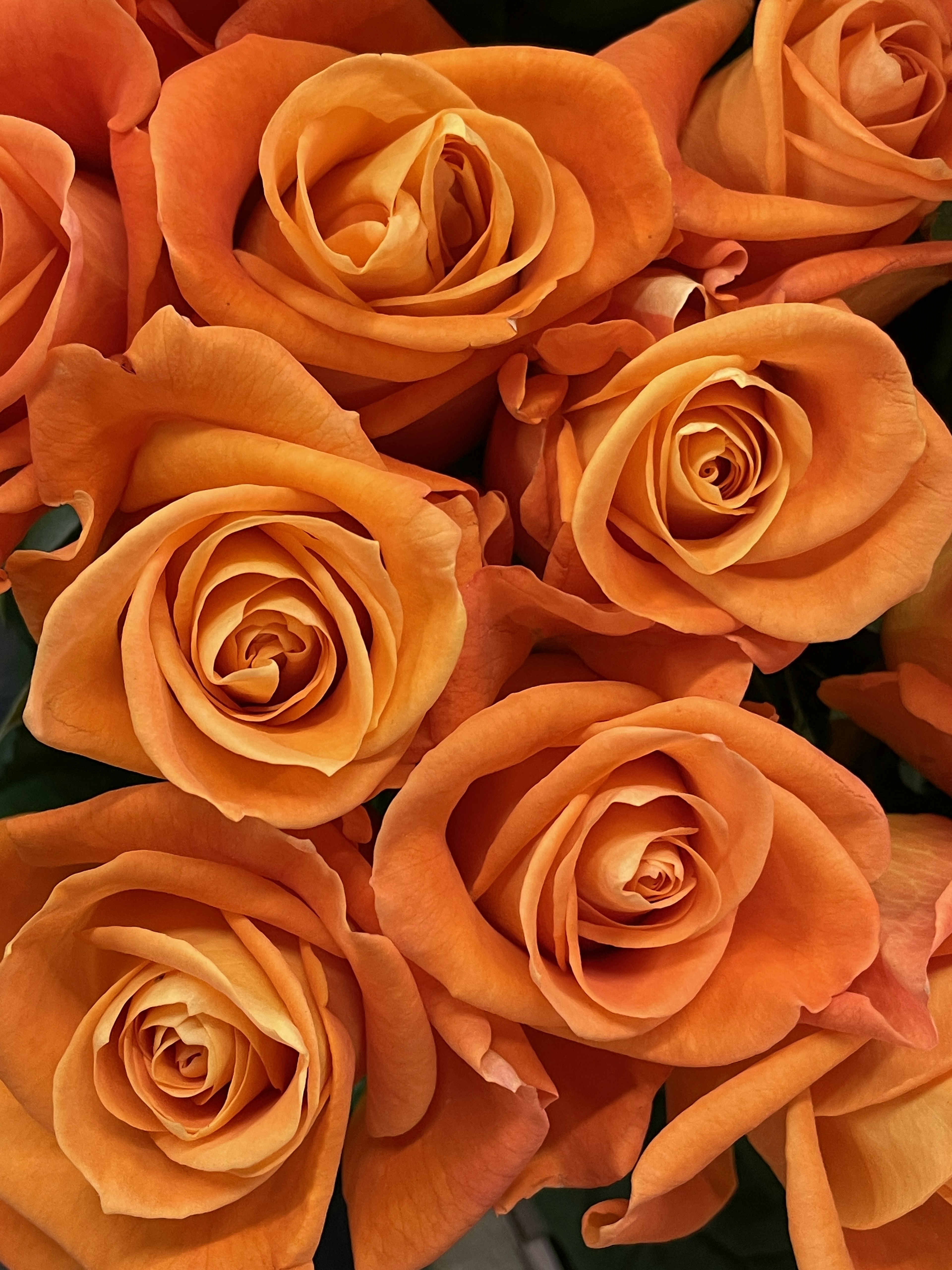 A bouquet of orange roses arranged closely together