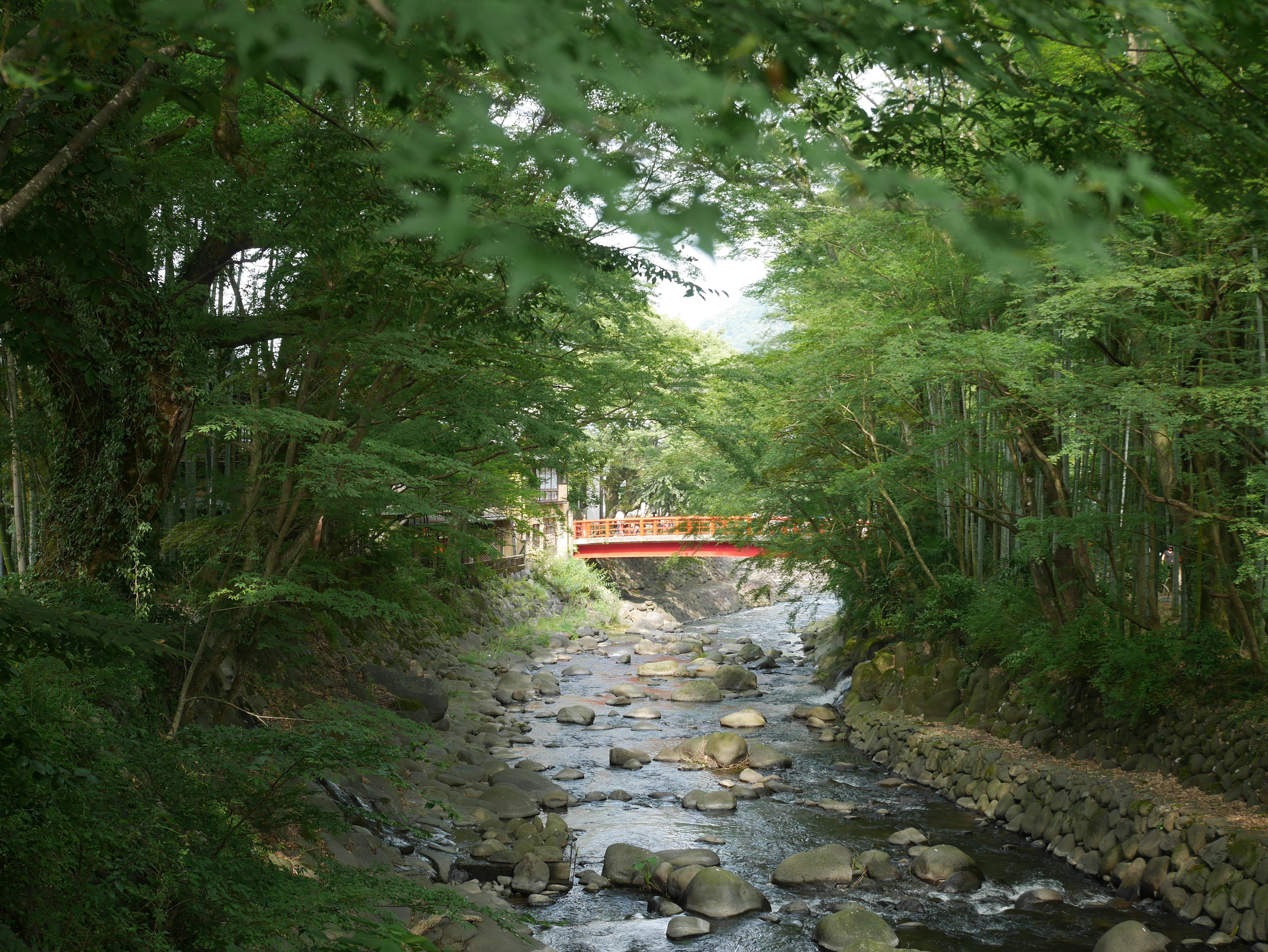 Vue pittoresque d'un ruisseau entouré d'arbres verts avec un pont rouge